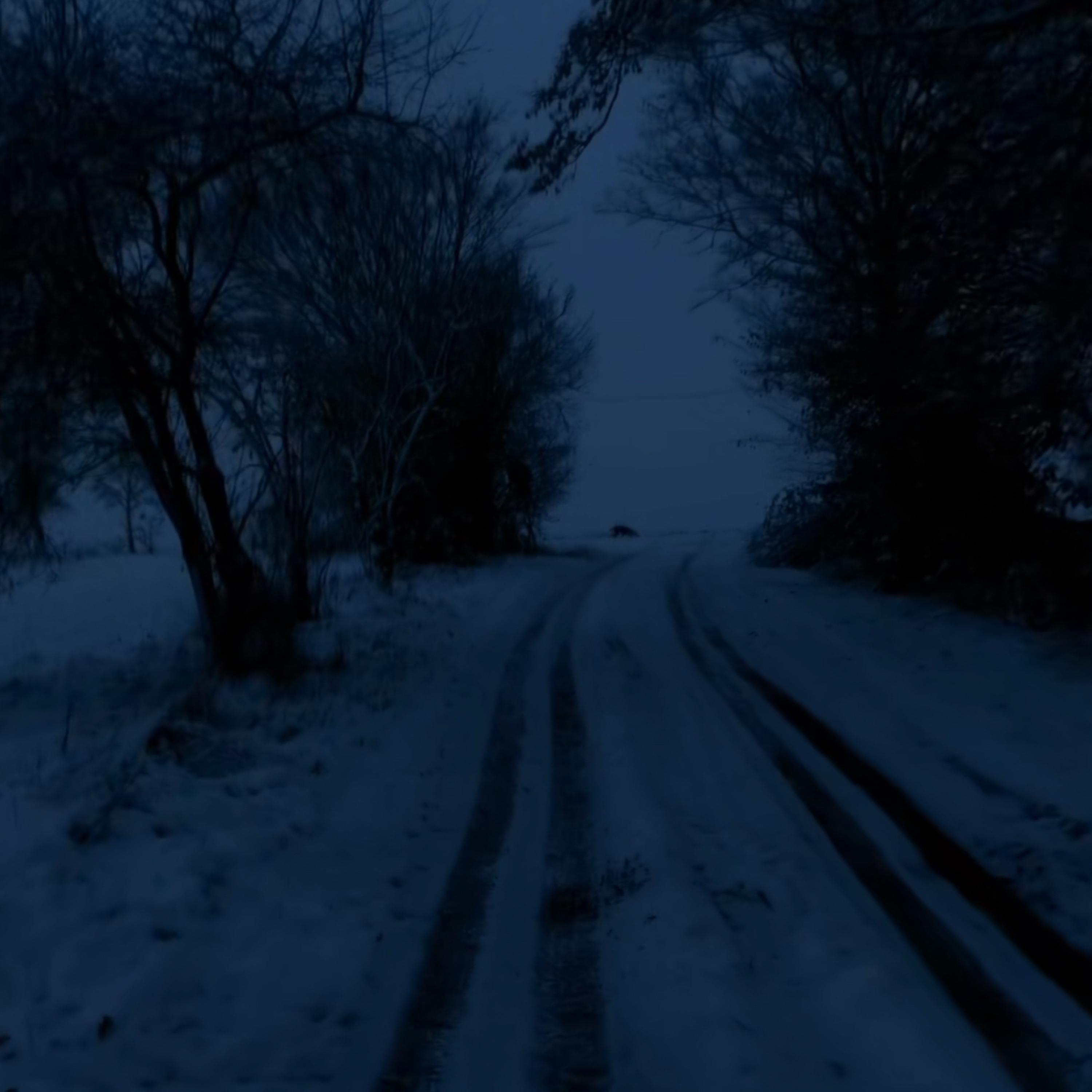 Blue Winter artwork