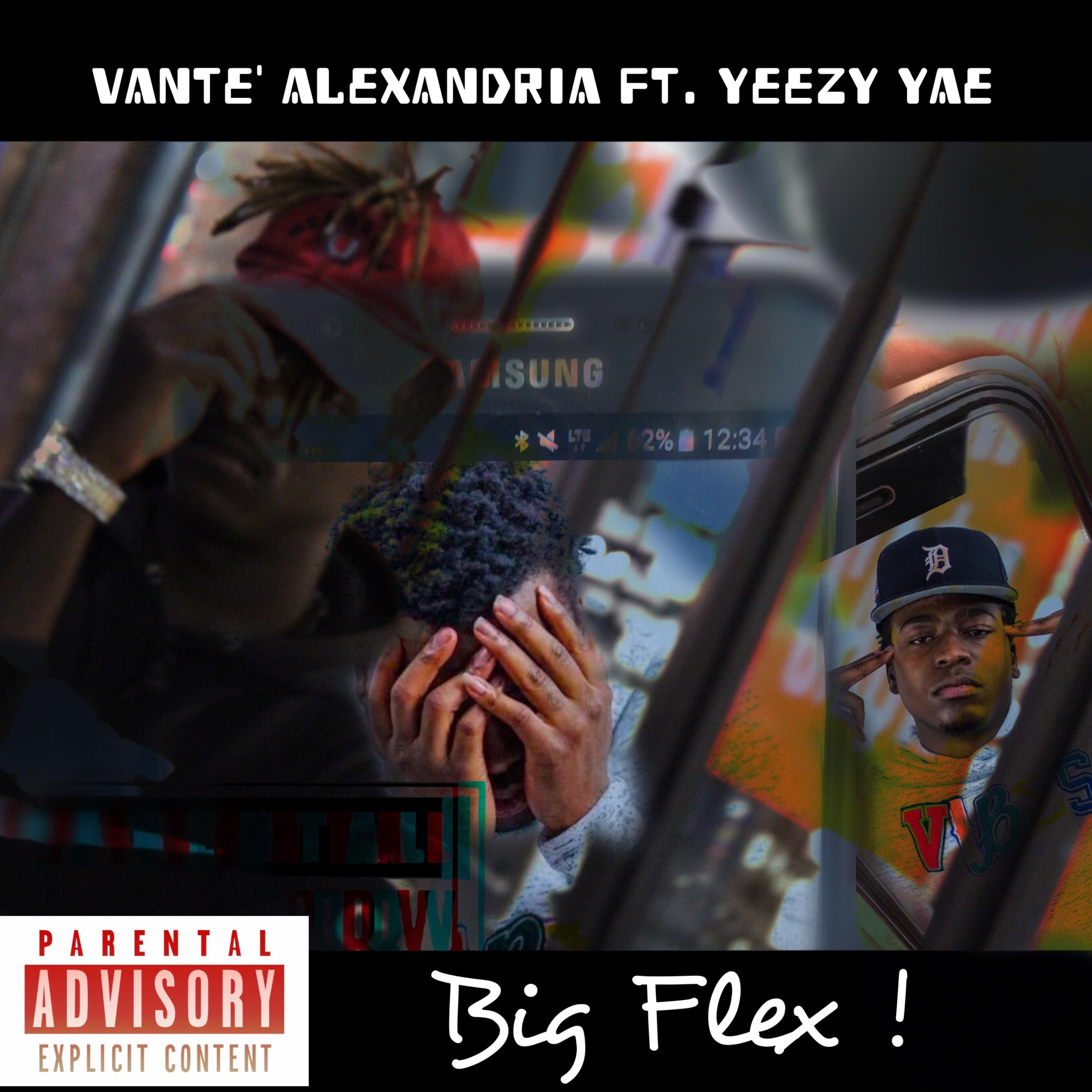 Big Flex ! artwork