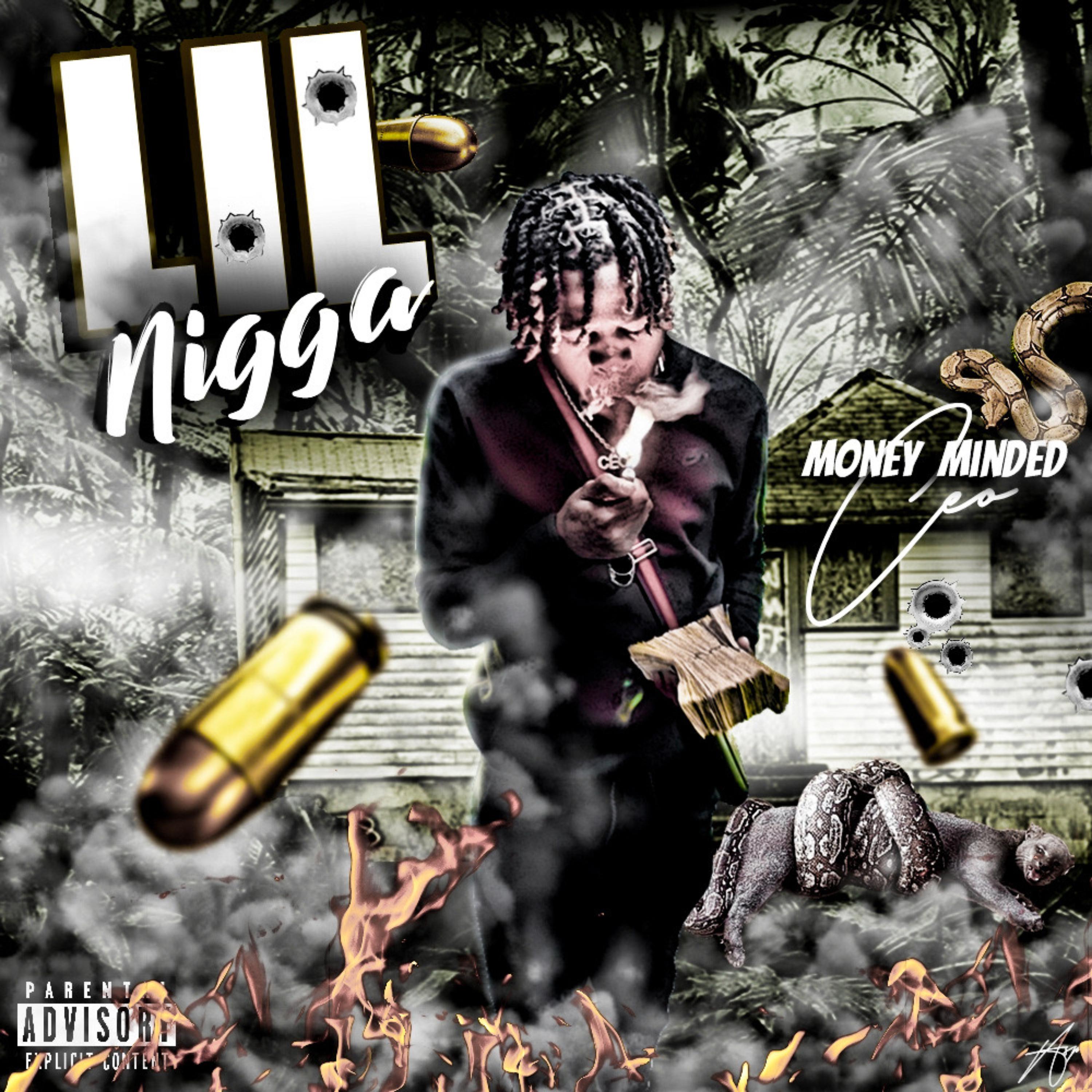 Lil Nigga artwork