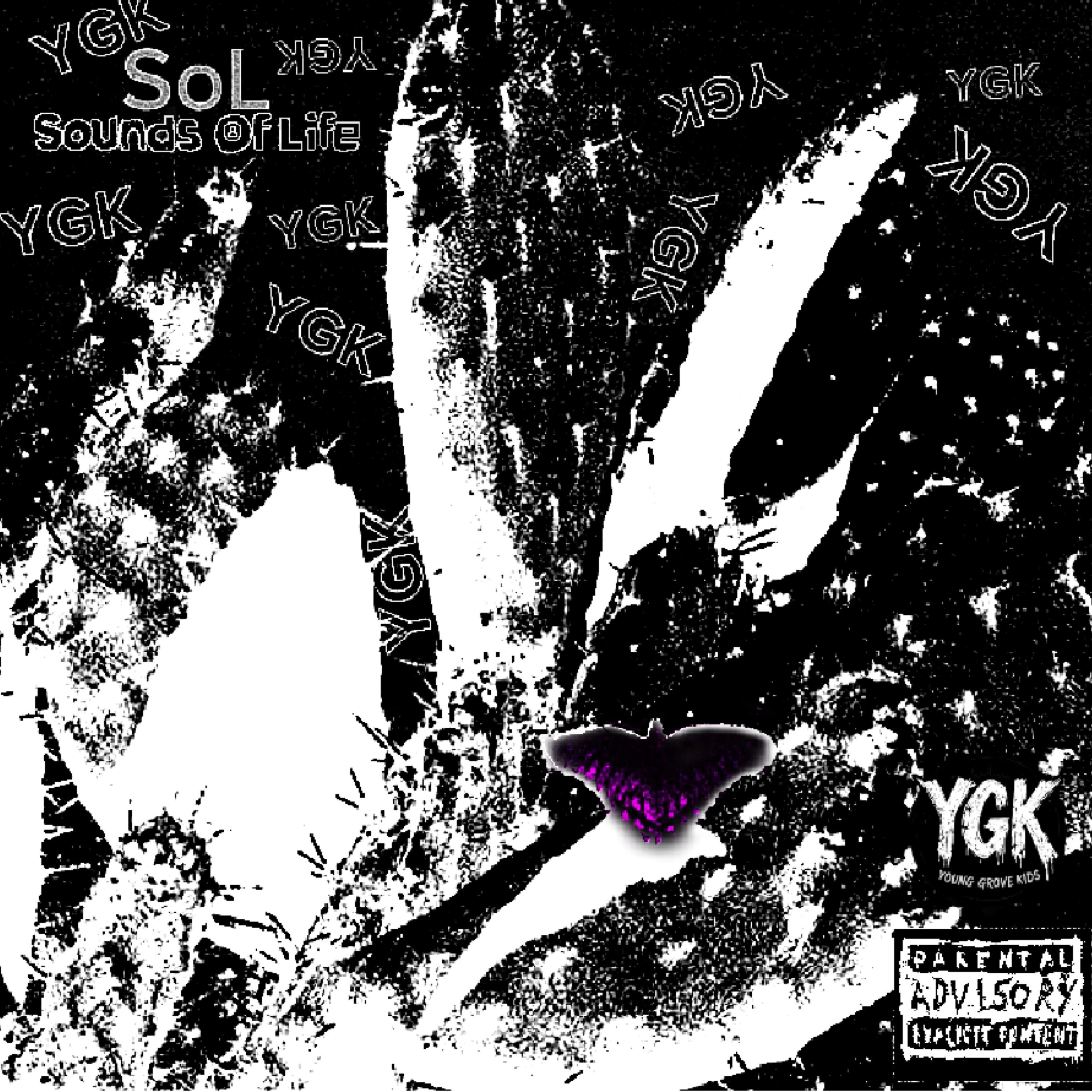 SoL (Sounds of Life) by YGK Free$pirit cover art