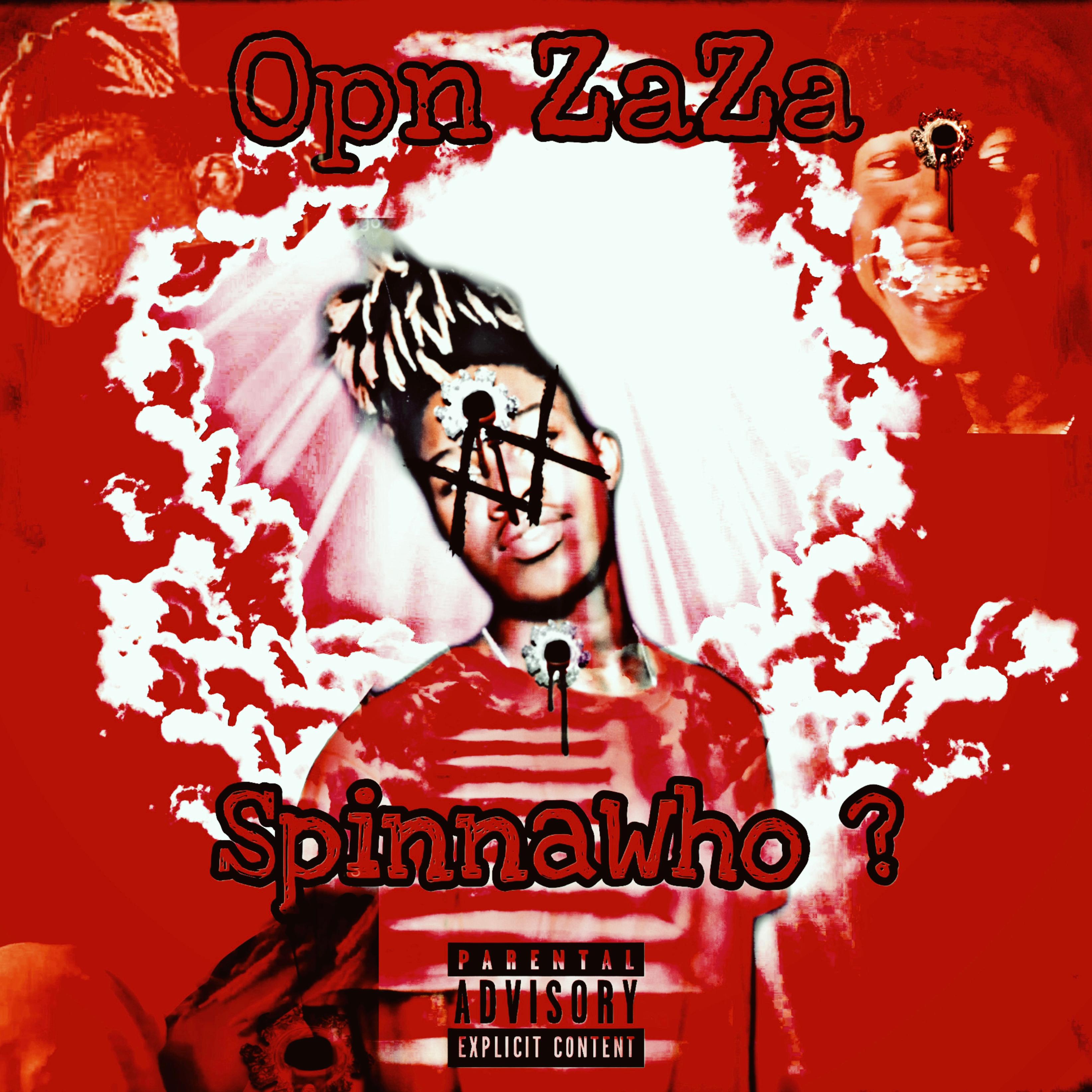 SpinnaWho?? artwork