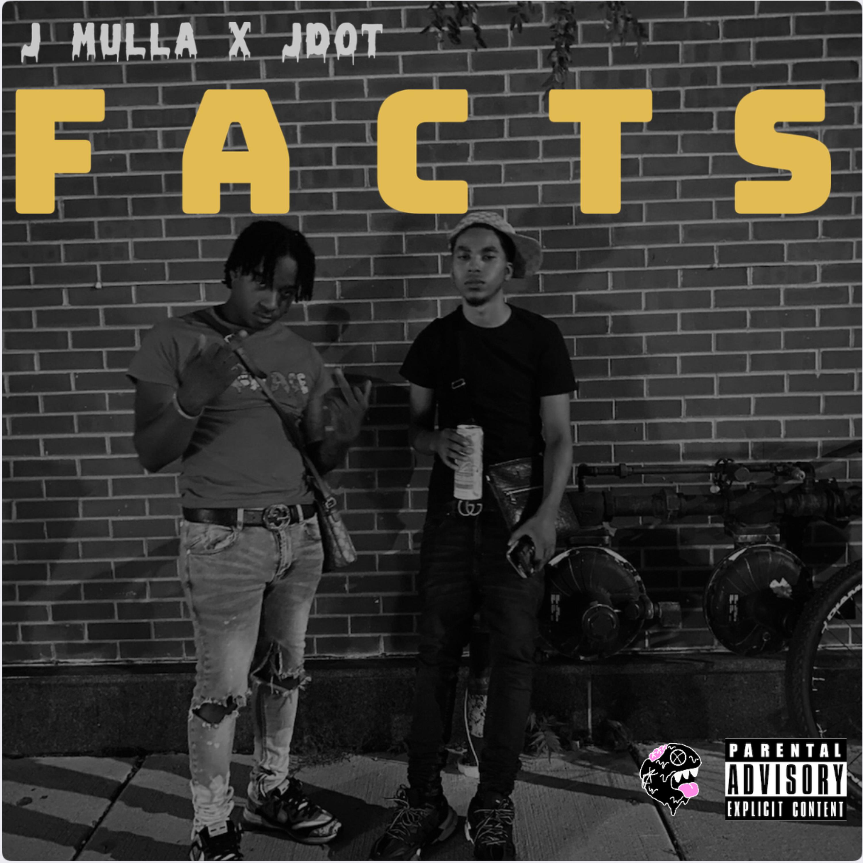 Facts artwork