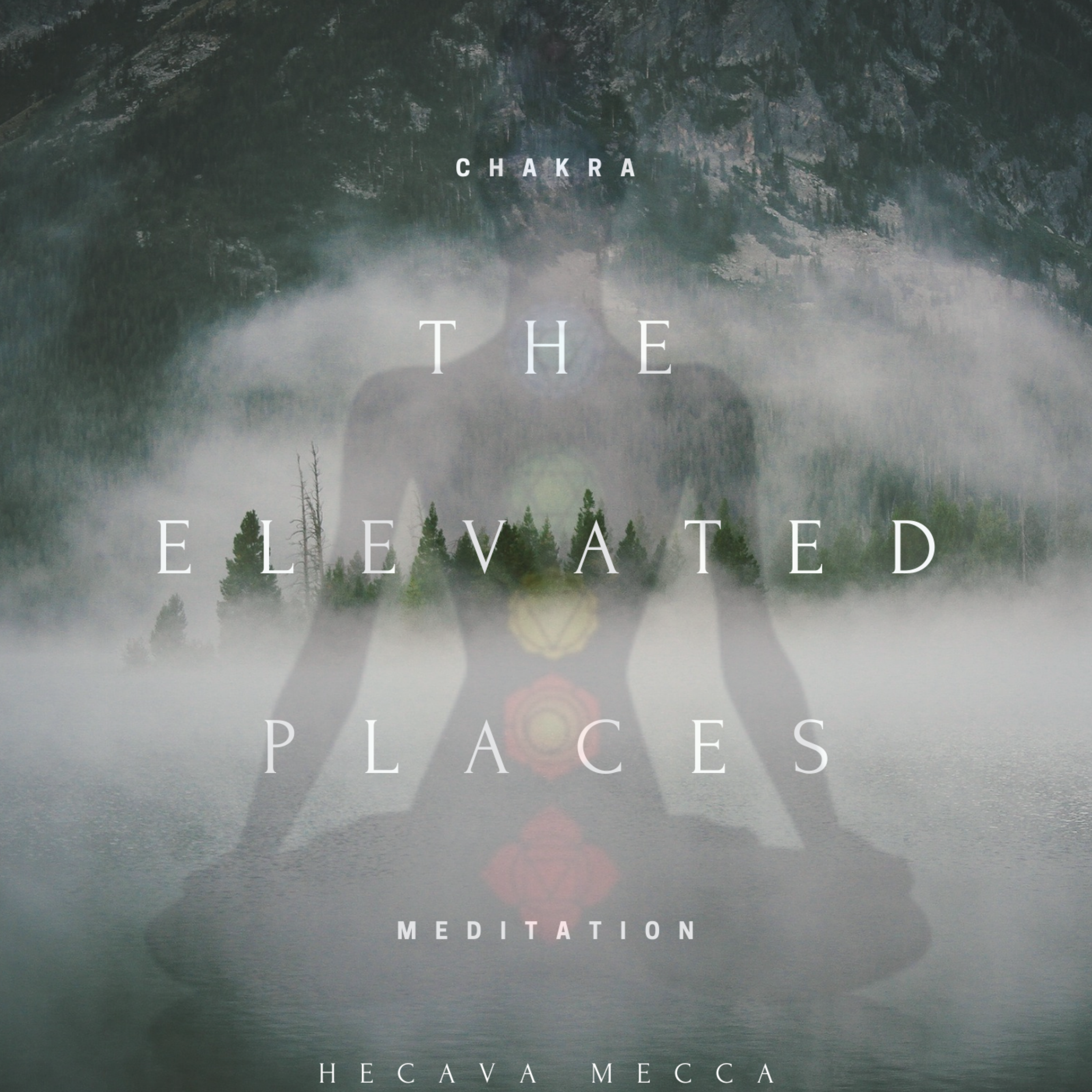 The Elevated Places artwork
