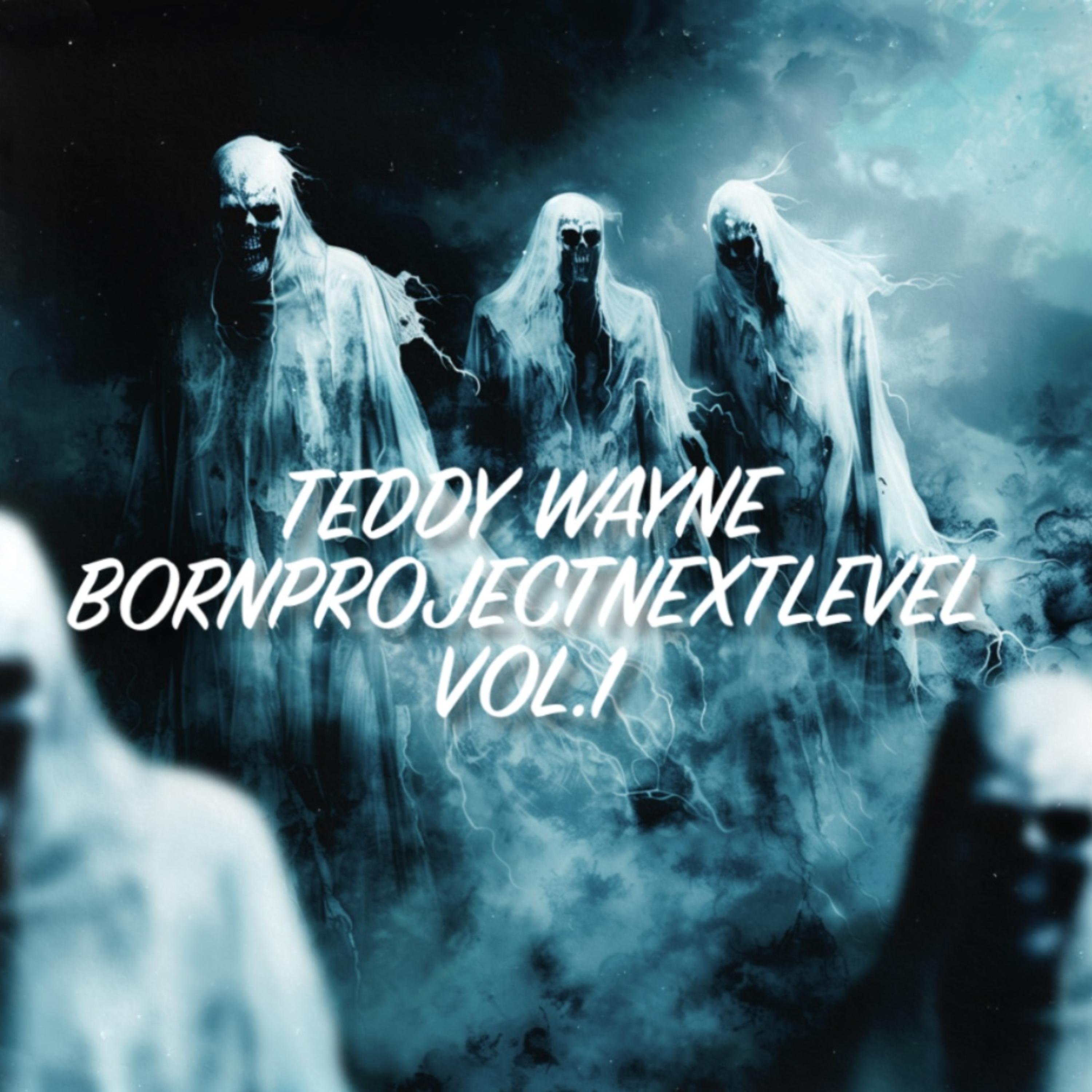BornProjectNextLevel (Vol.1) artwork