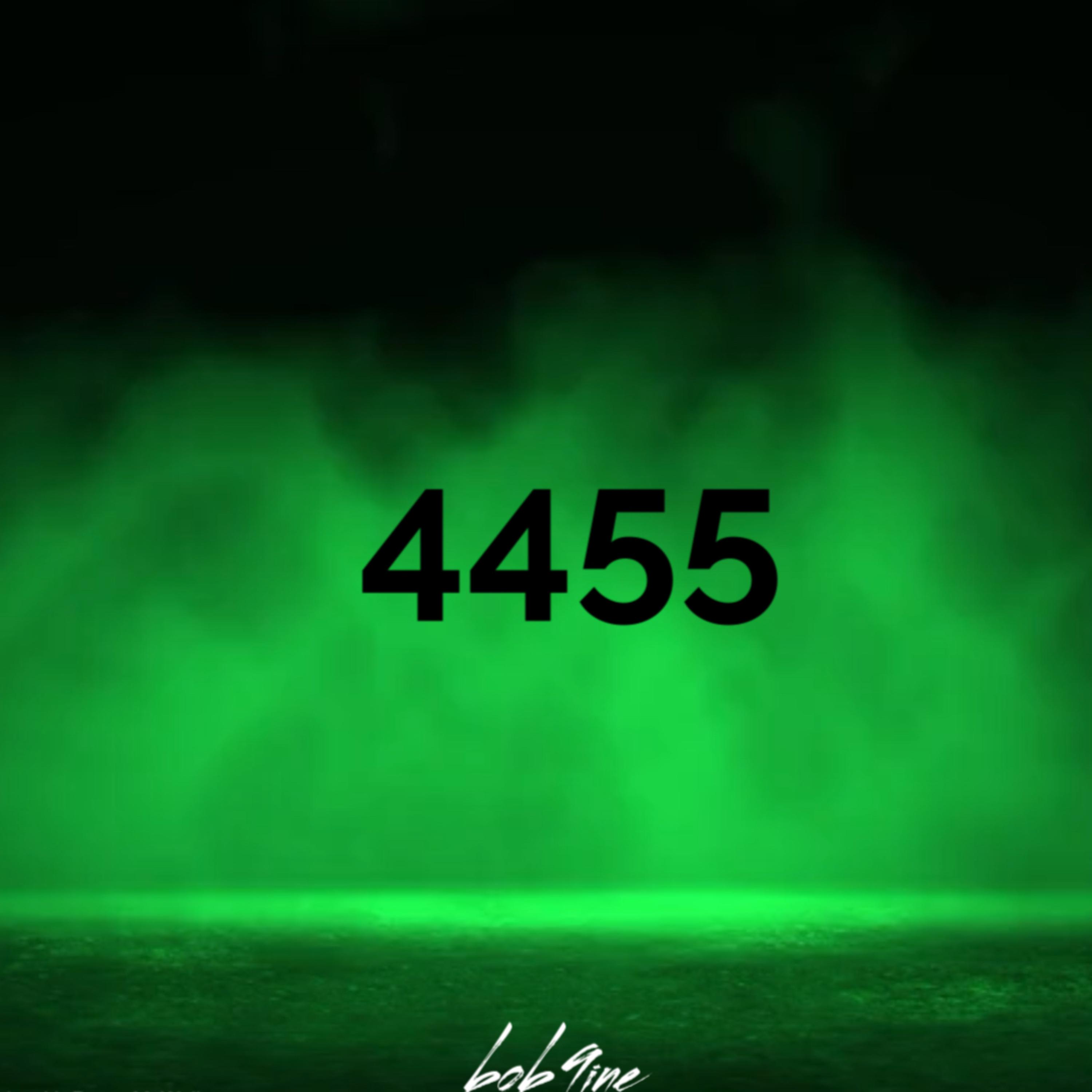 4455 artwork