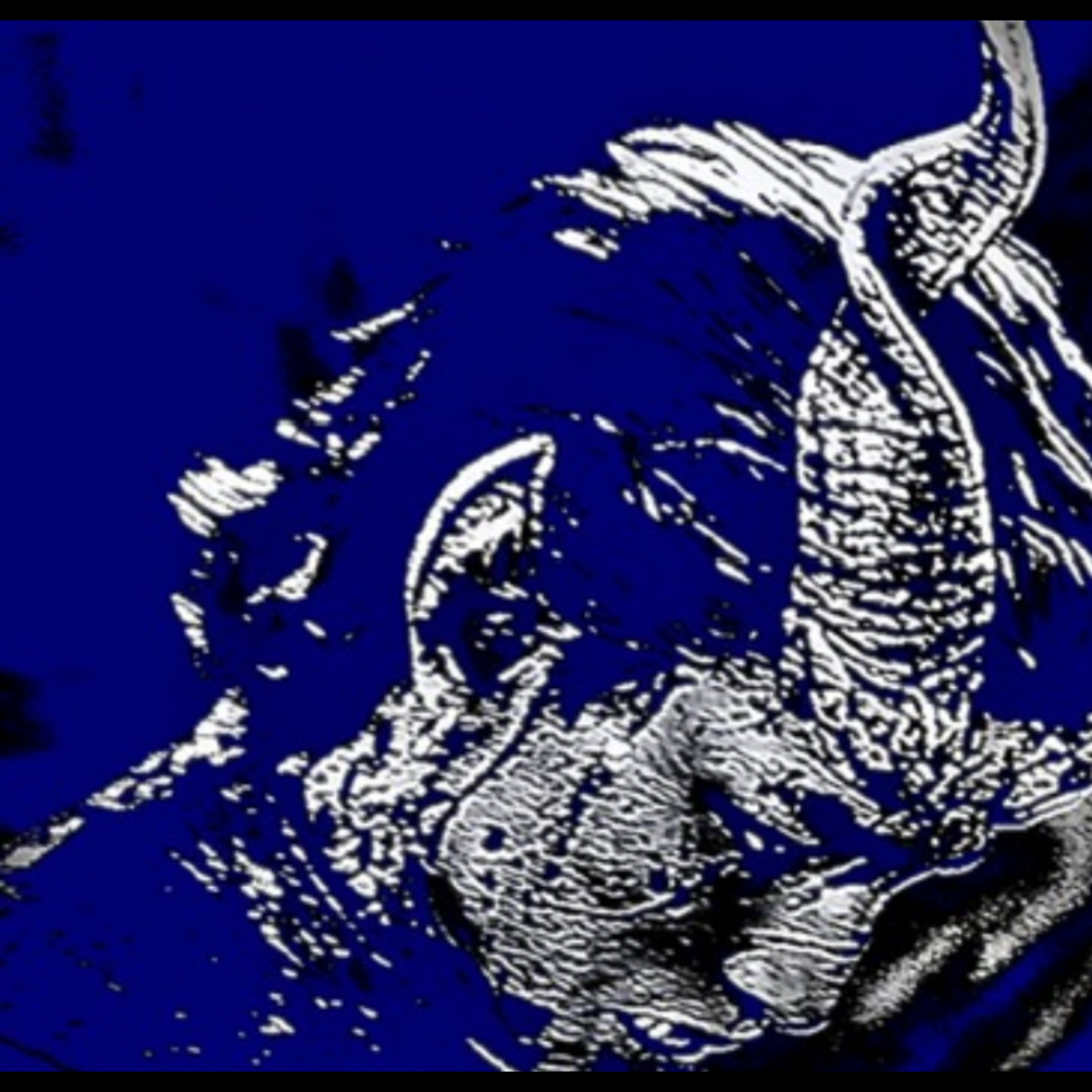 wtf I’m Thinking artwork