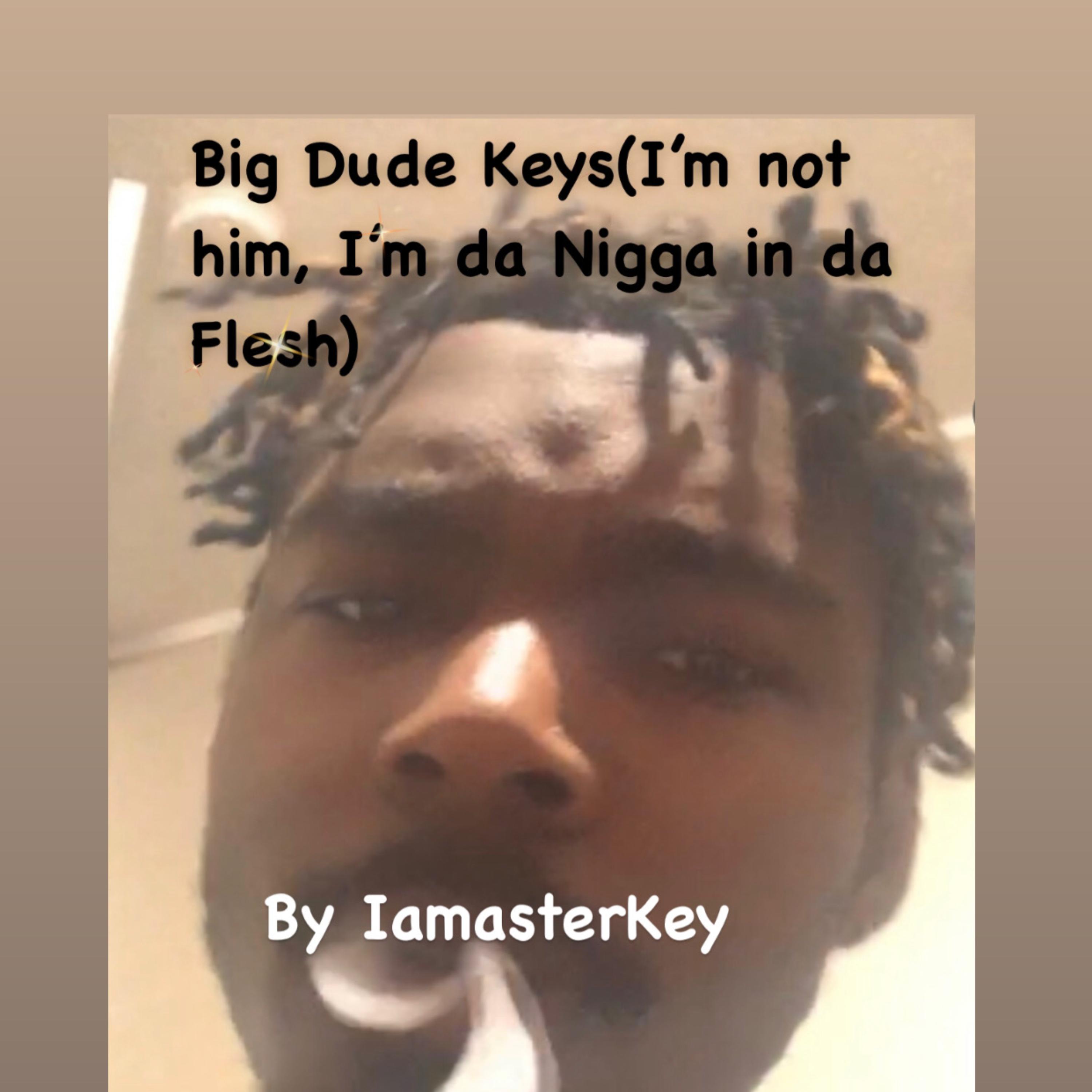 Big Dude Keys(I’m not Him, I’m Da Nigga in Da Flesh) by IamasterKey cover art