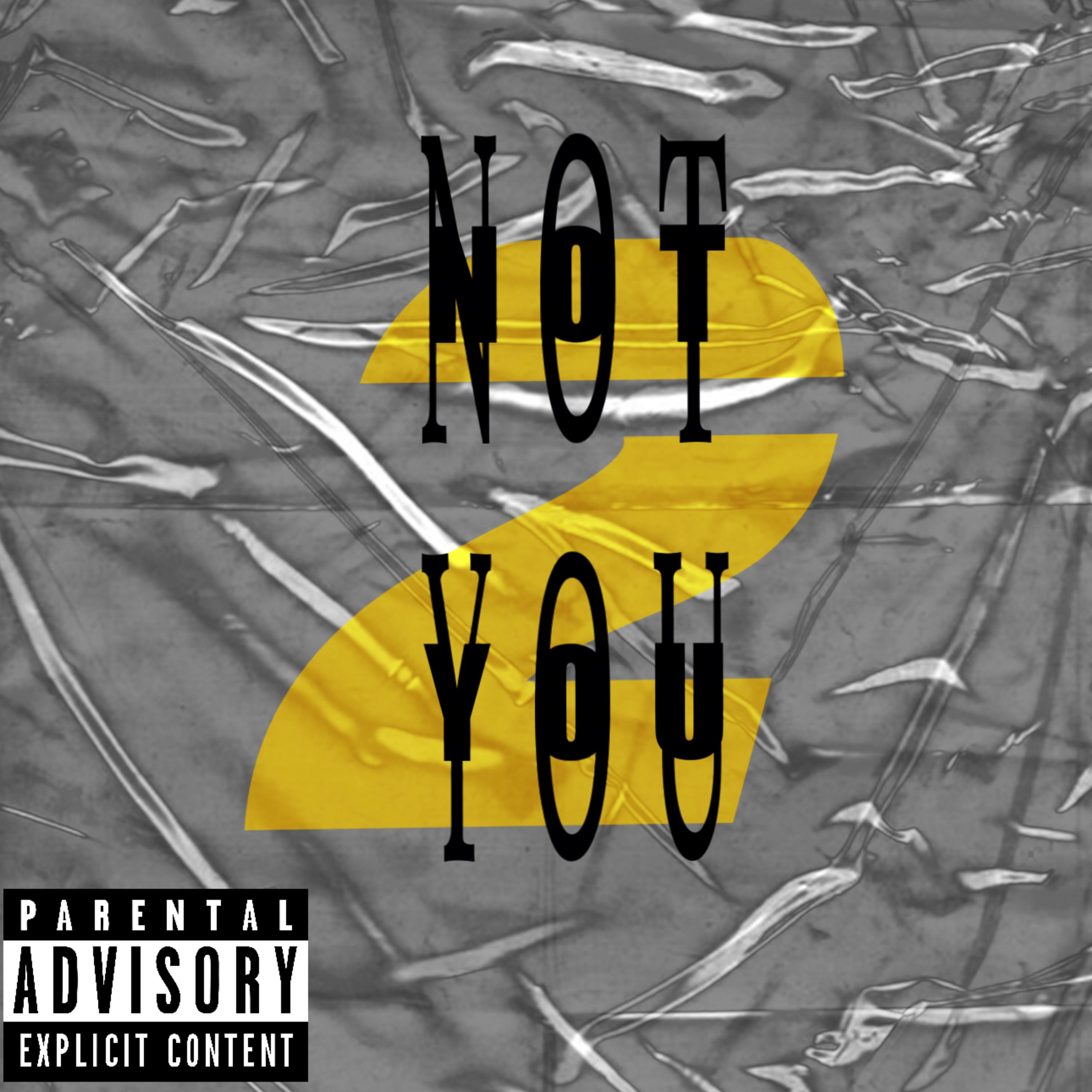 Not 2 You artwork