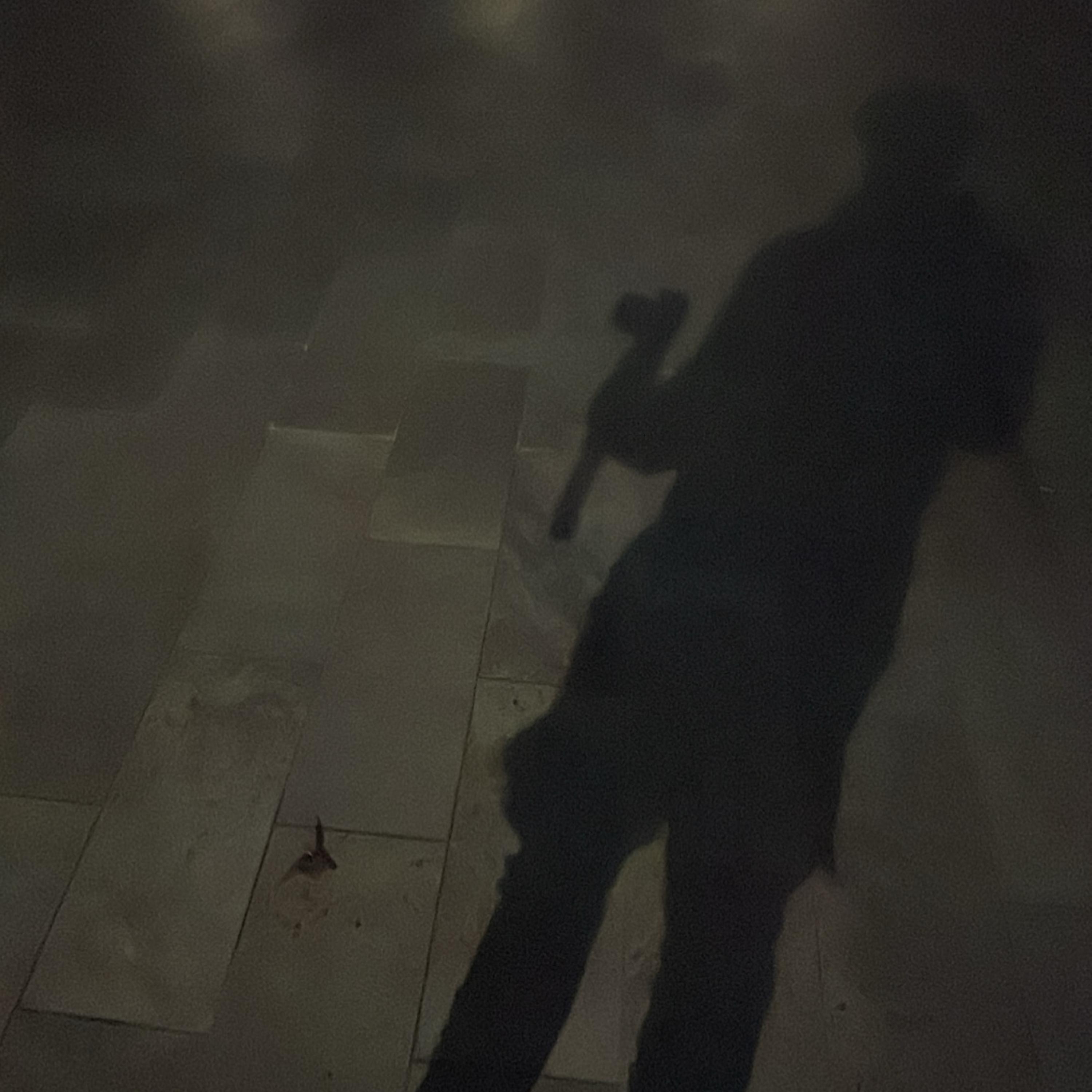 No Hook artwork