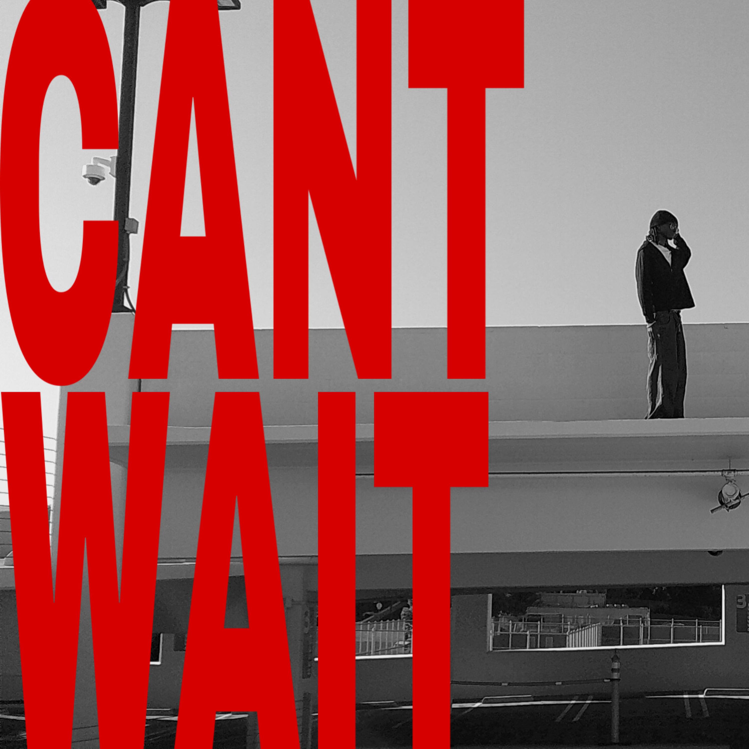 CANT WAIT artwork
