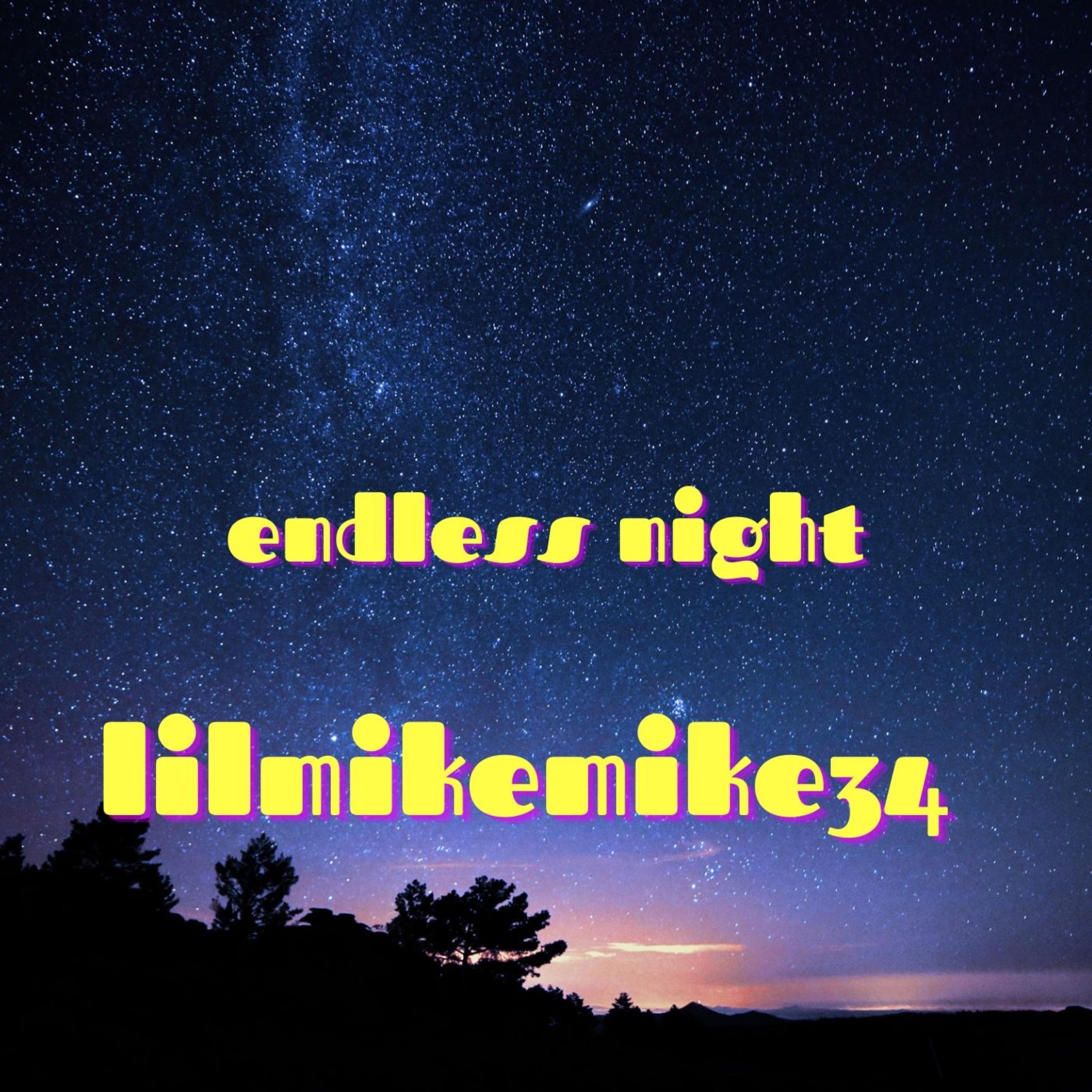Endless Night artwork