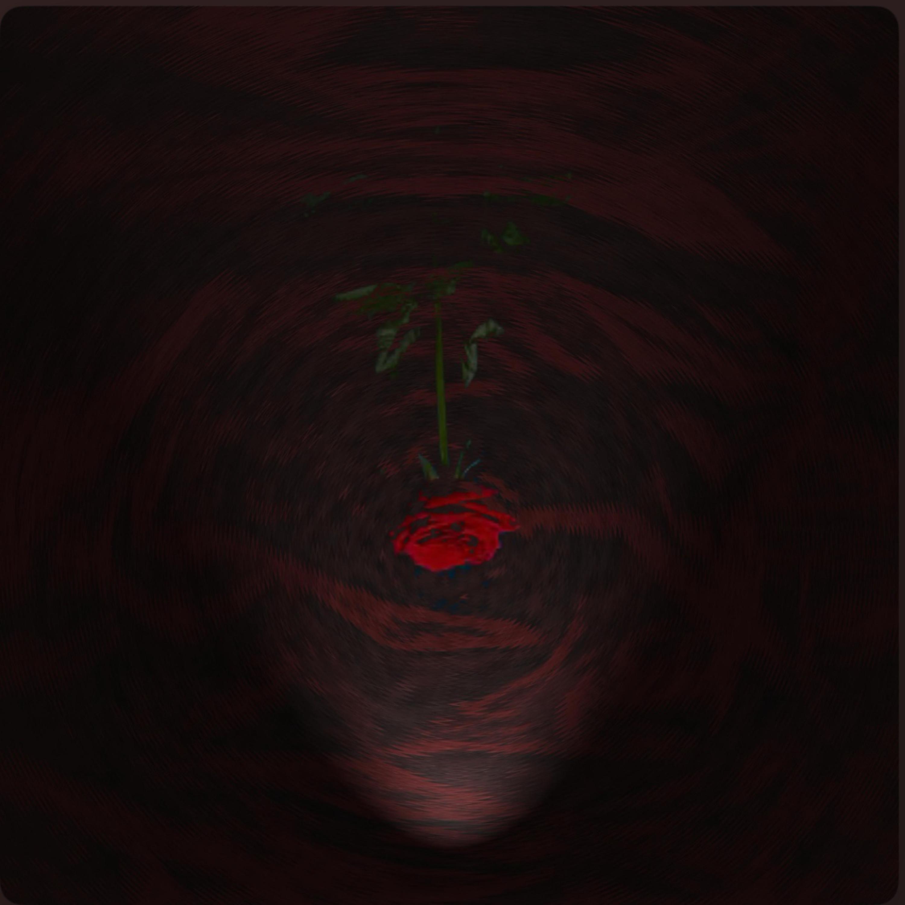 ENOUGH by LoveSymbolDon cover art