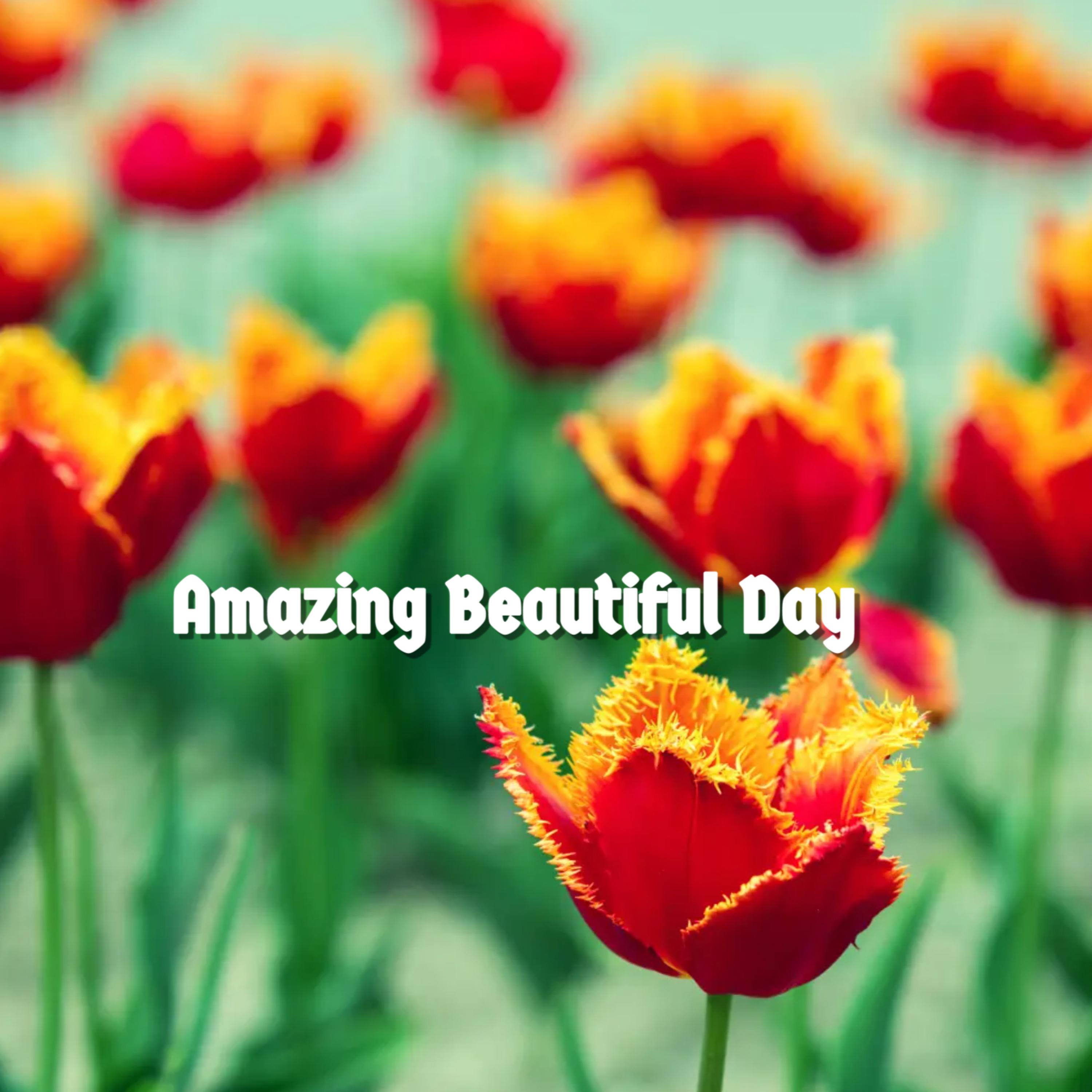 Amazing Beautiful Day artwork
