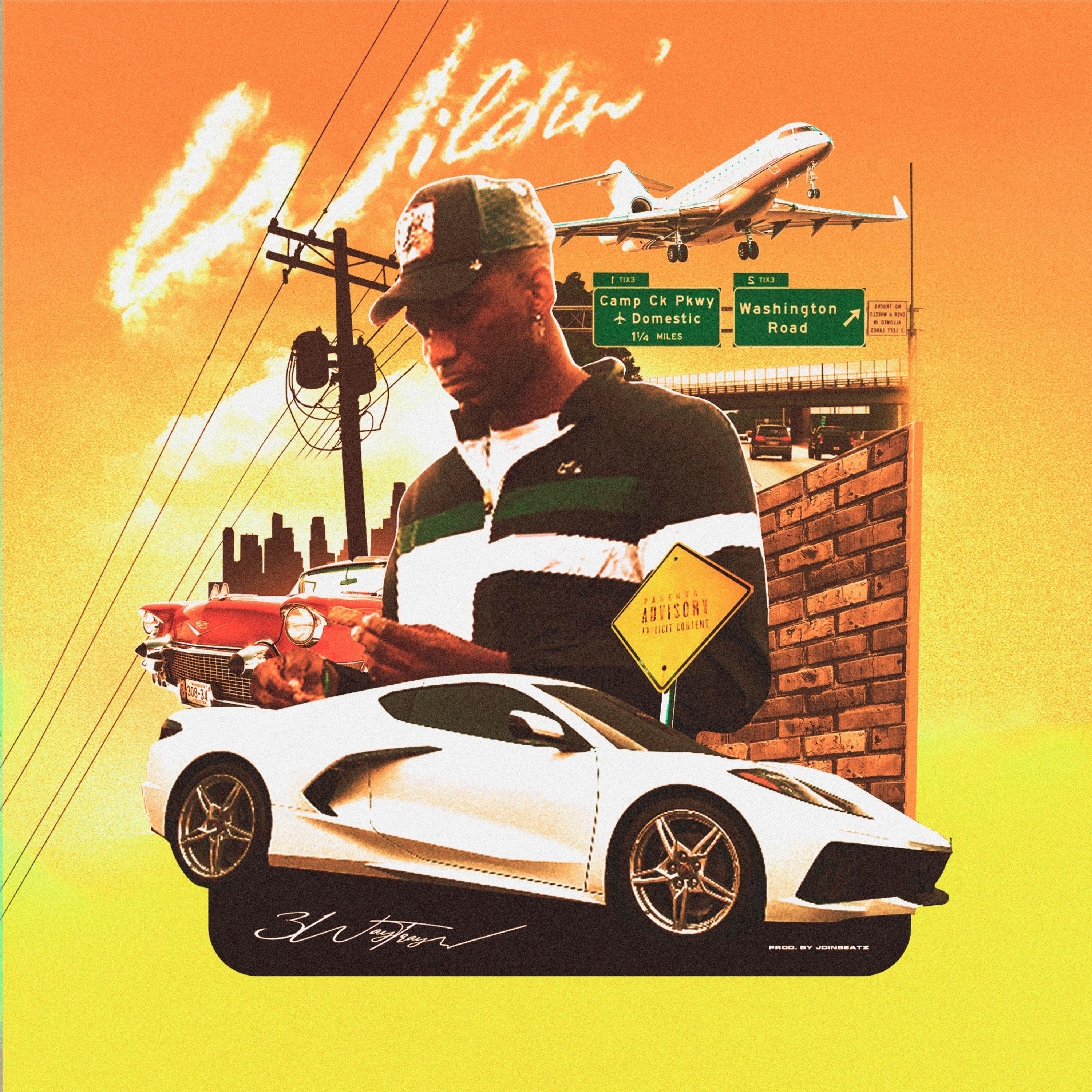 Wildin artwork