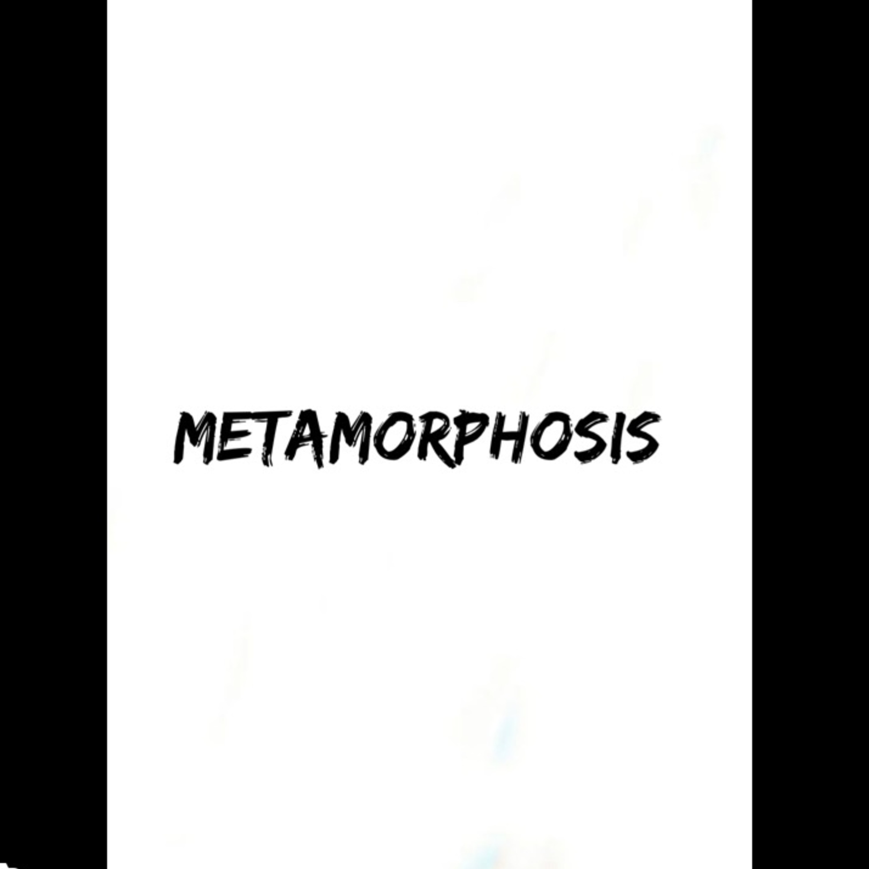 Metamorphosis artwork