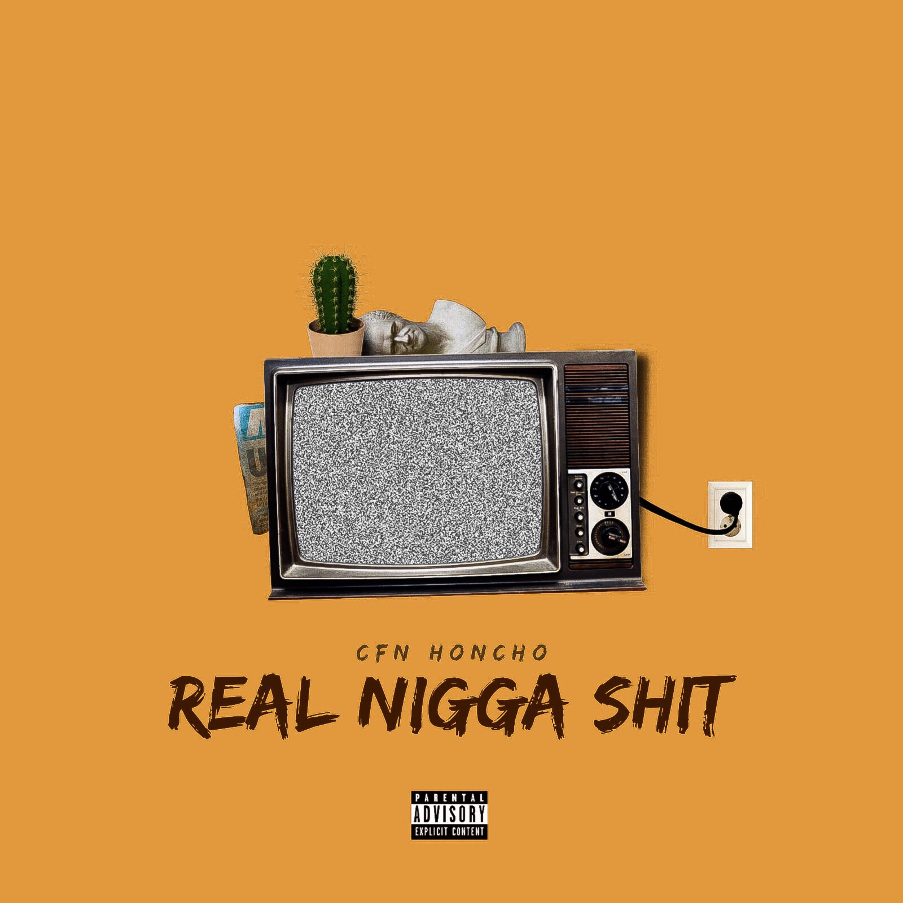 REAL NIGGA SHIT artwork