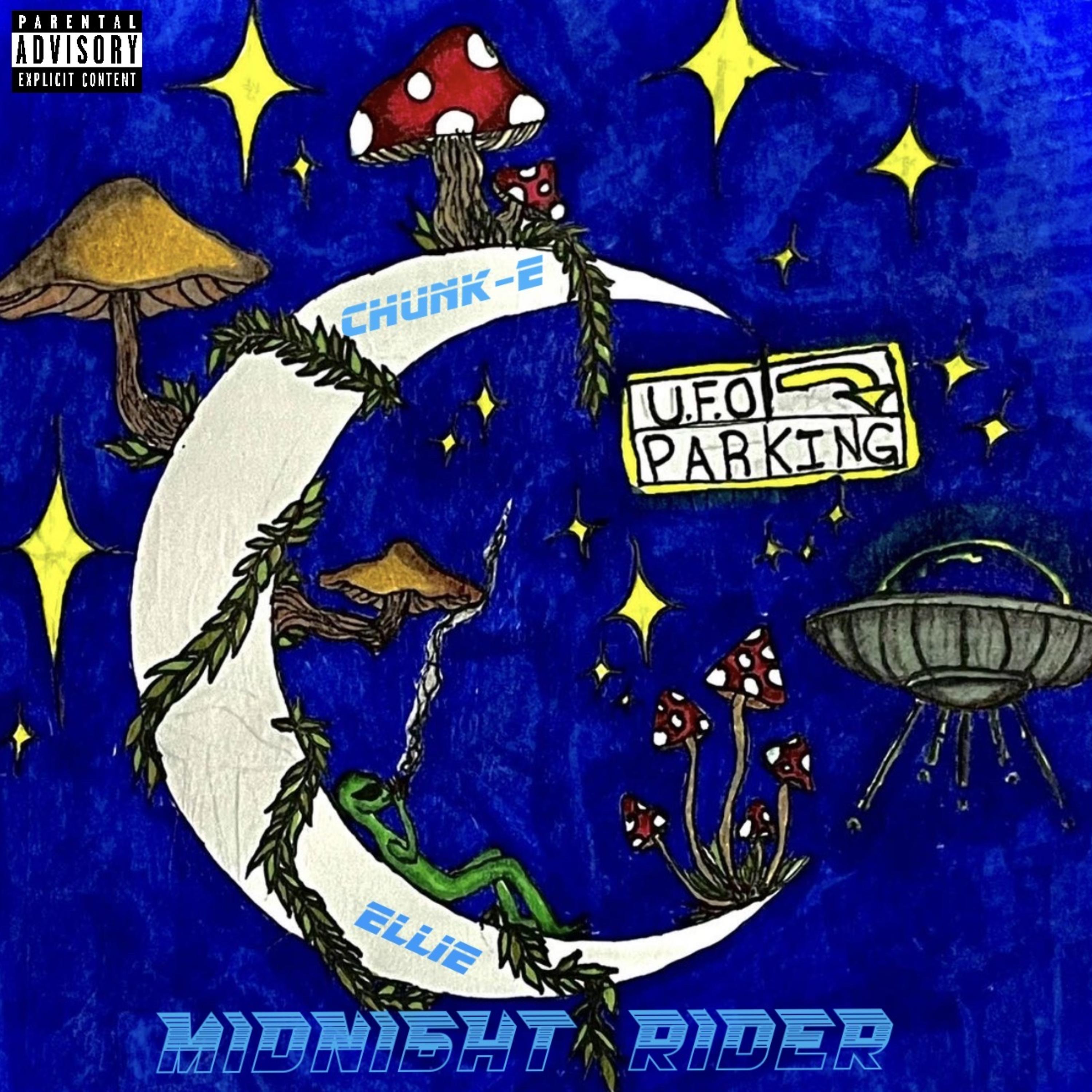 Midnight Rider artwork