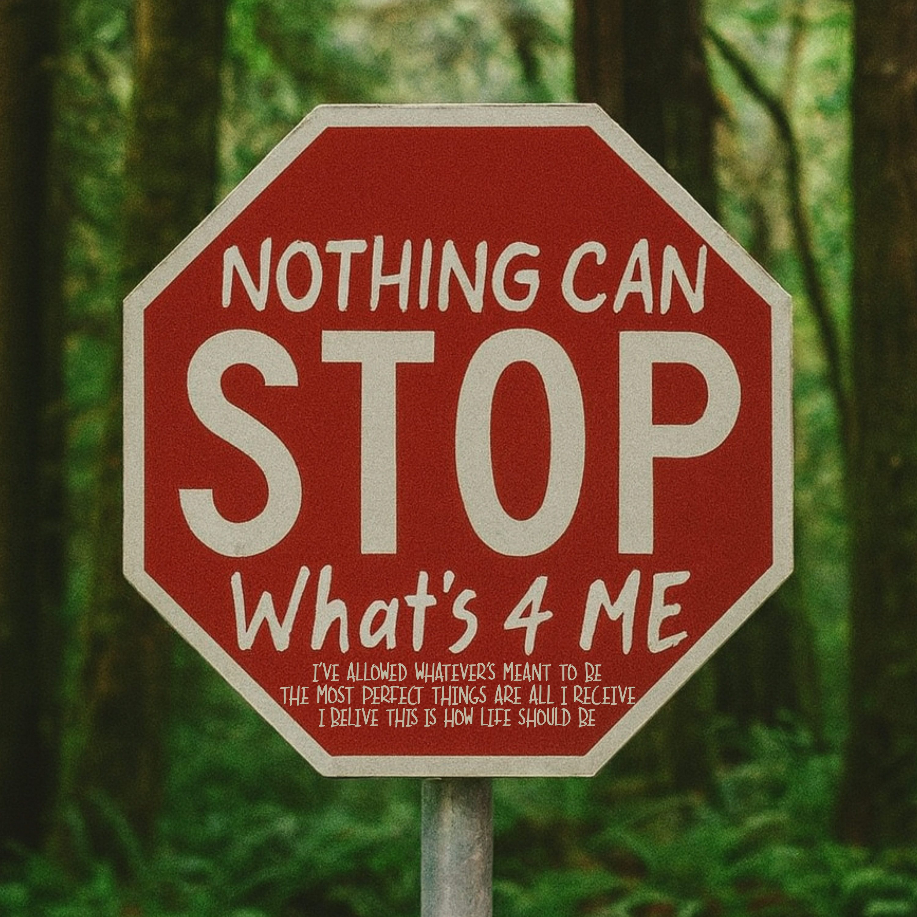 nothing can stop what's 4 me artwork