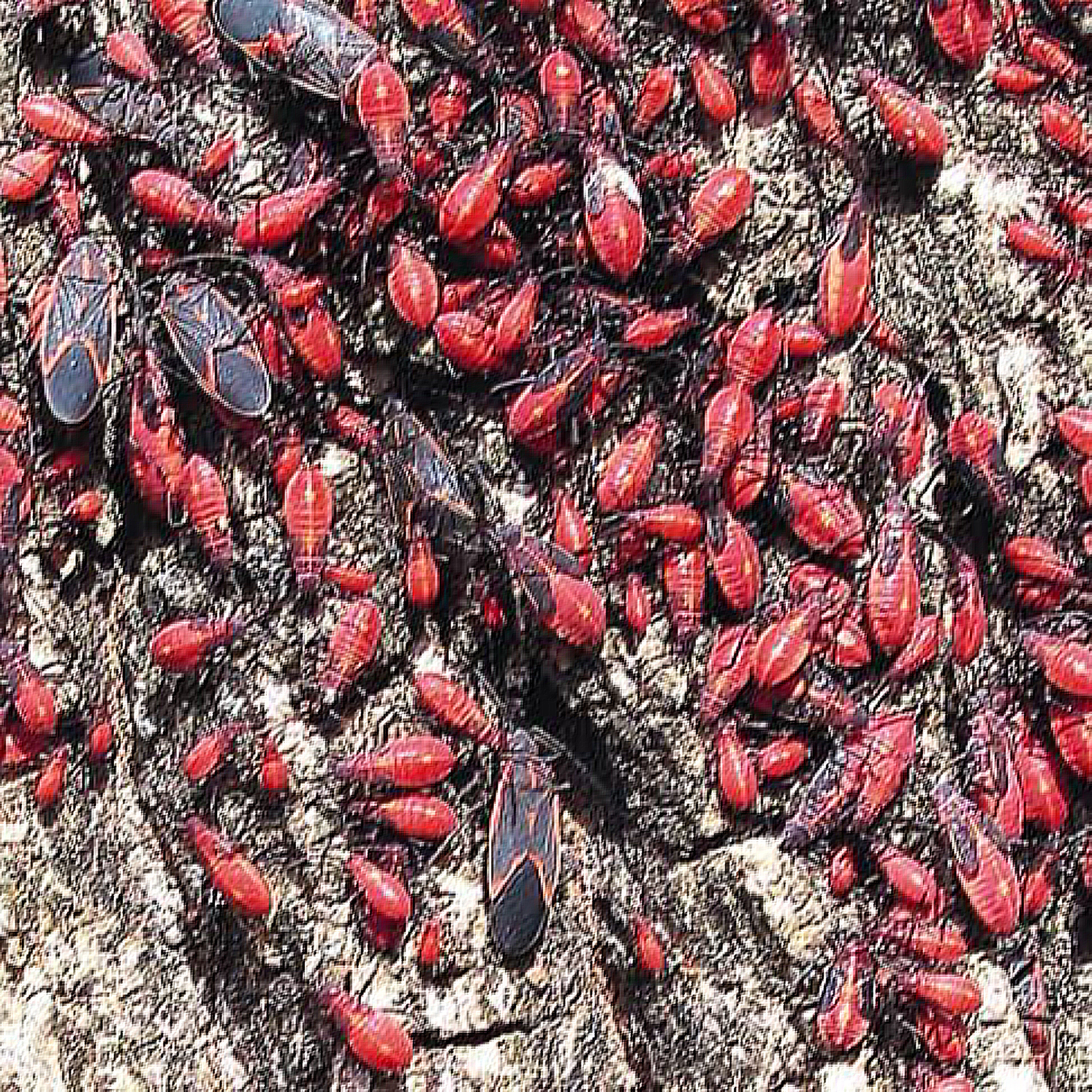 SUBSTANCES CAUSED ME TO SHATTER THE HEART OF AN ELEPHANT IN HOPES TO MEND MY OWN II artwork