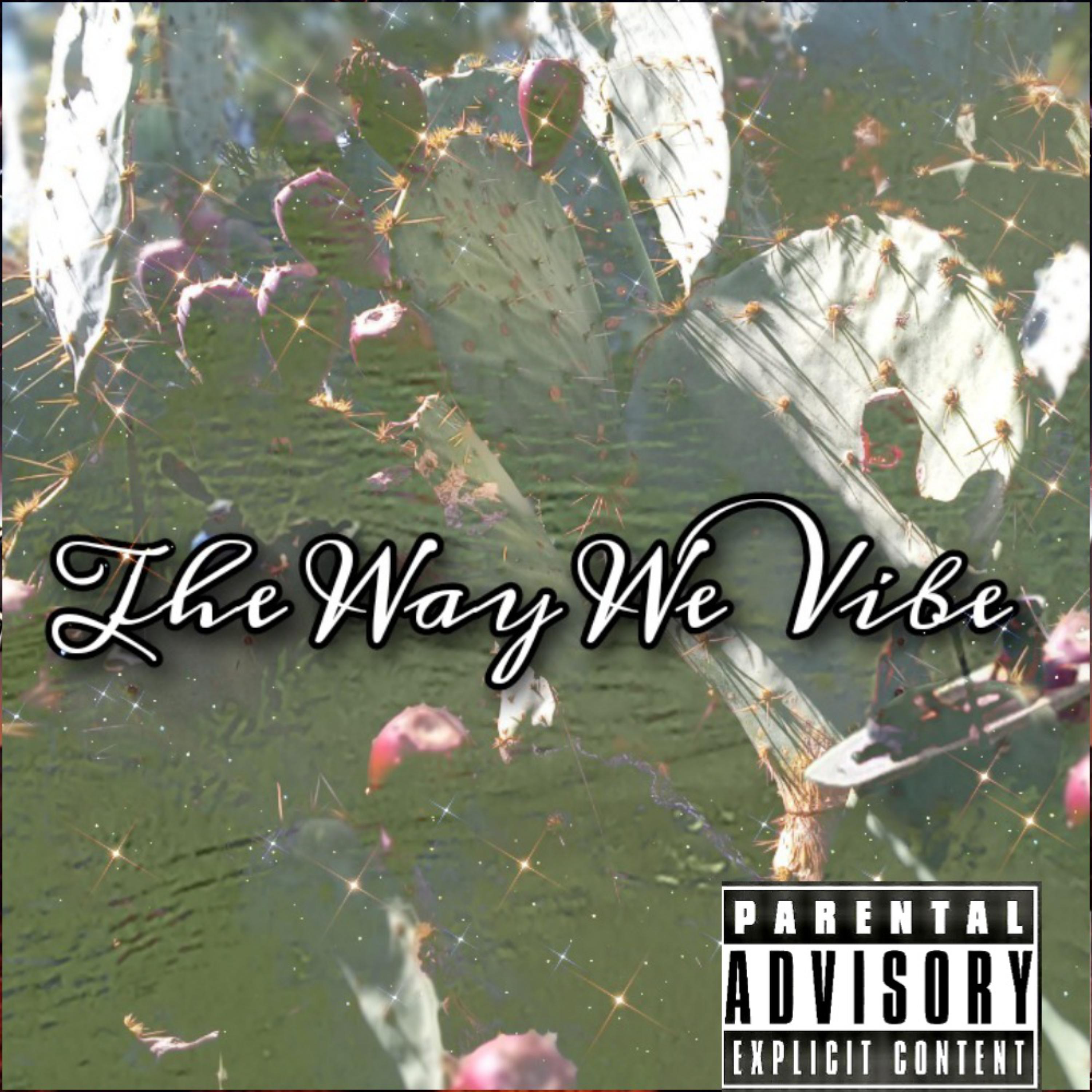 The Way We Vibe artwork