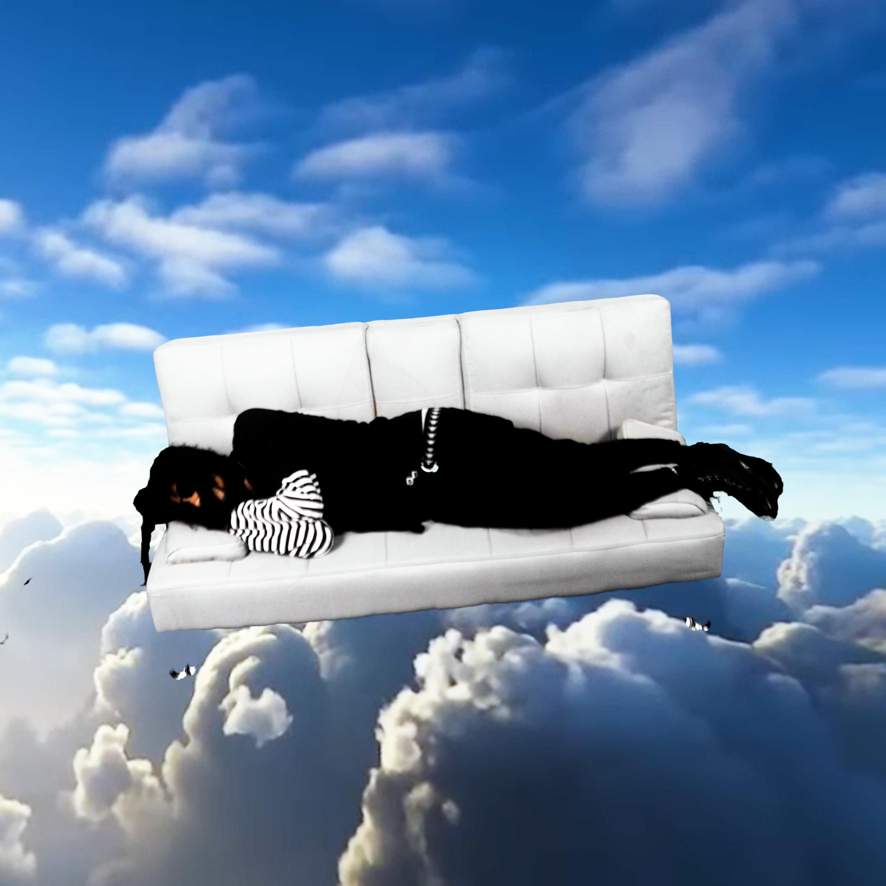 sky high artwork