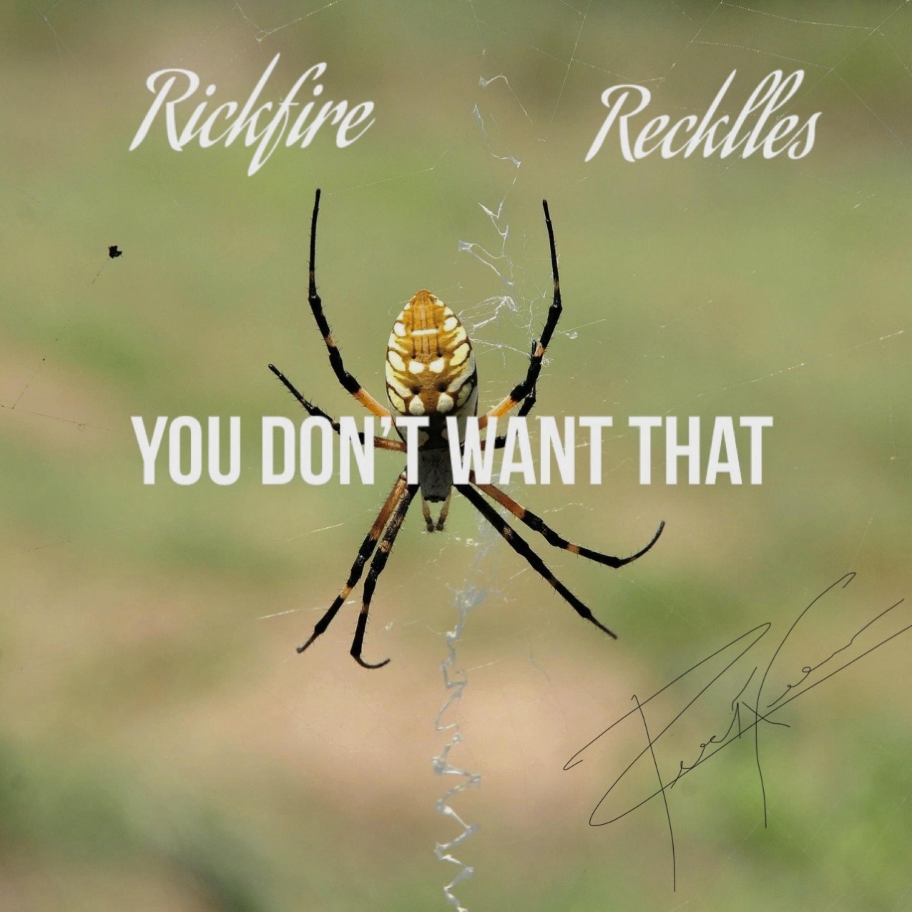 You don’t Want That artwork