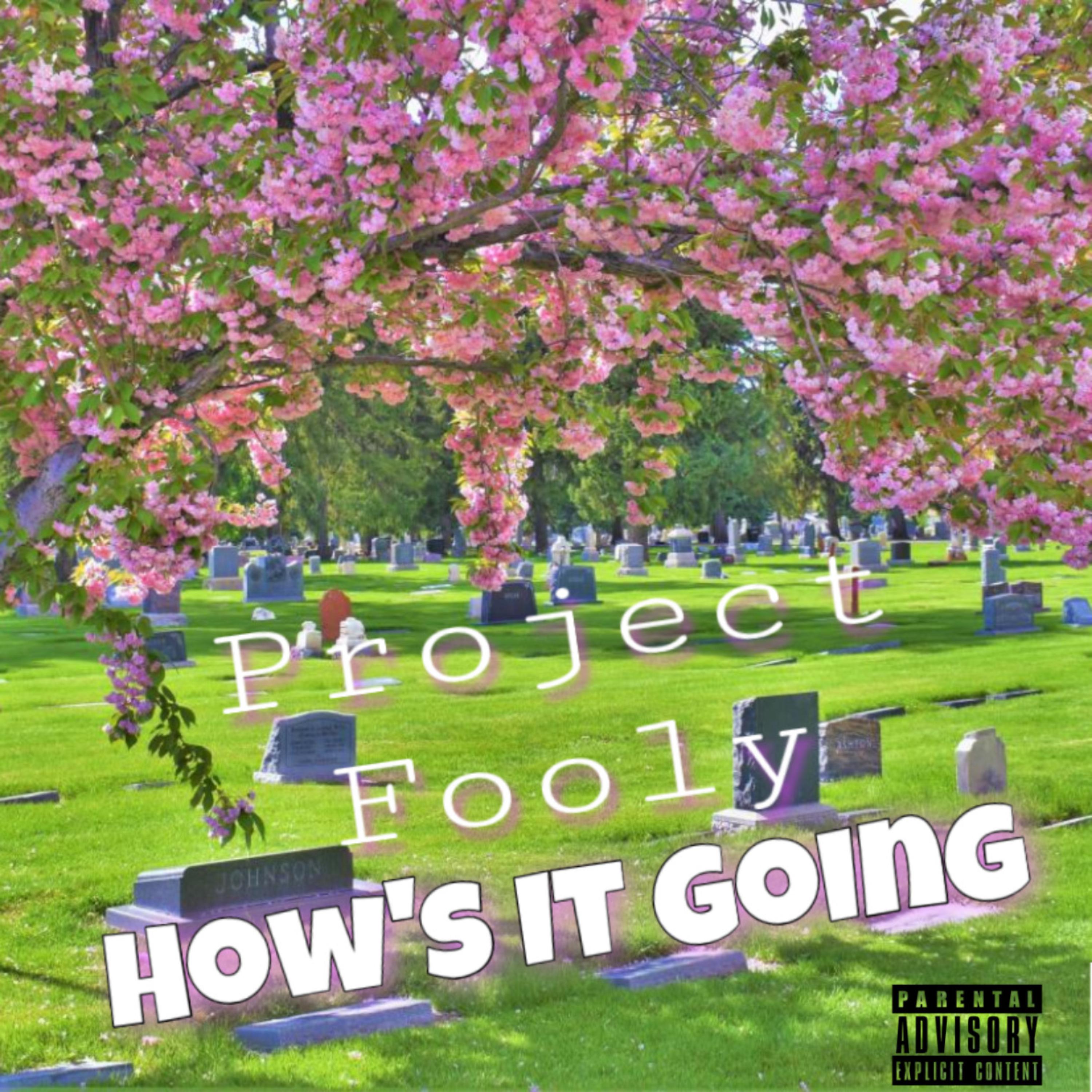 How's It Going artwork