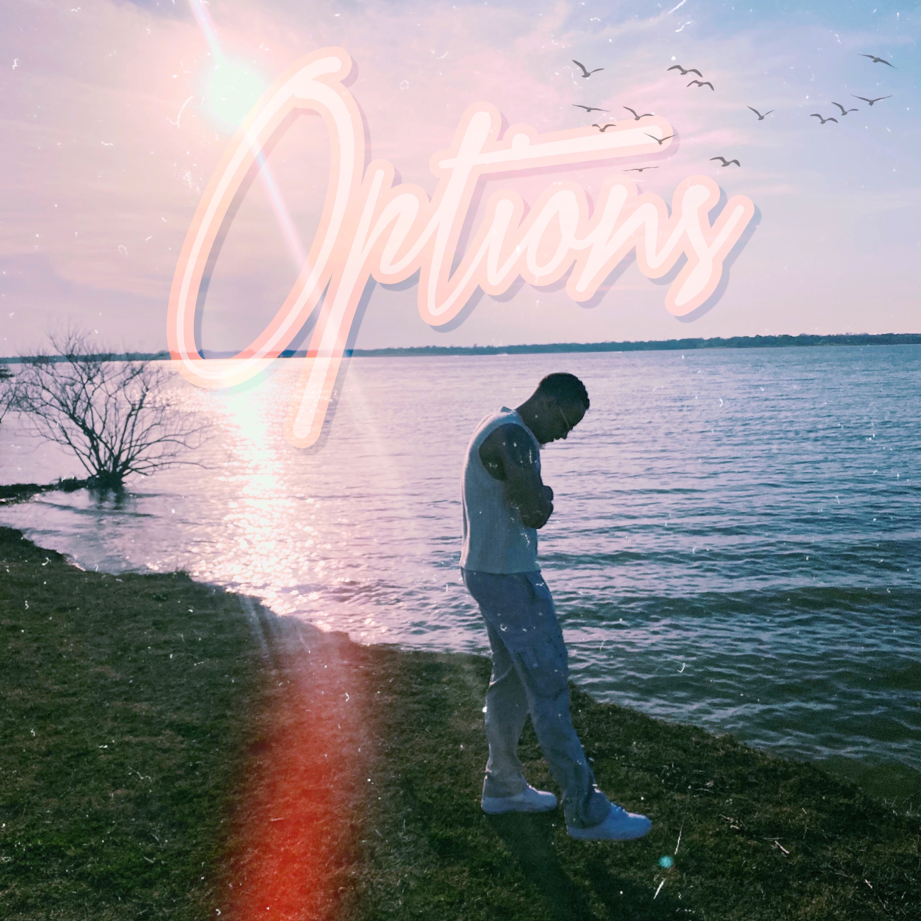 Options artwork