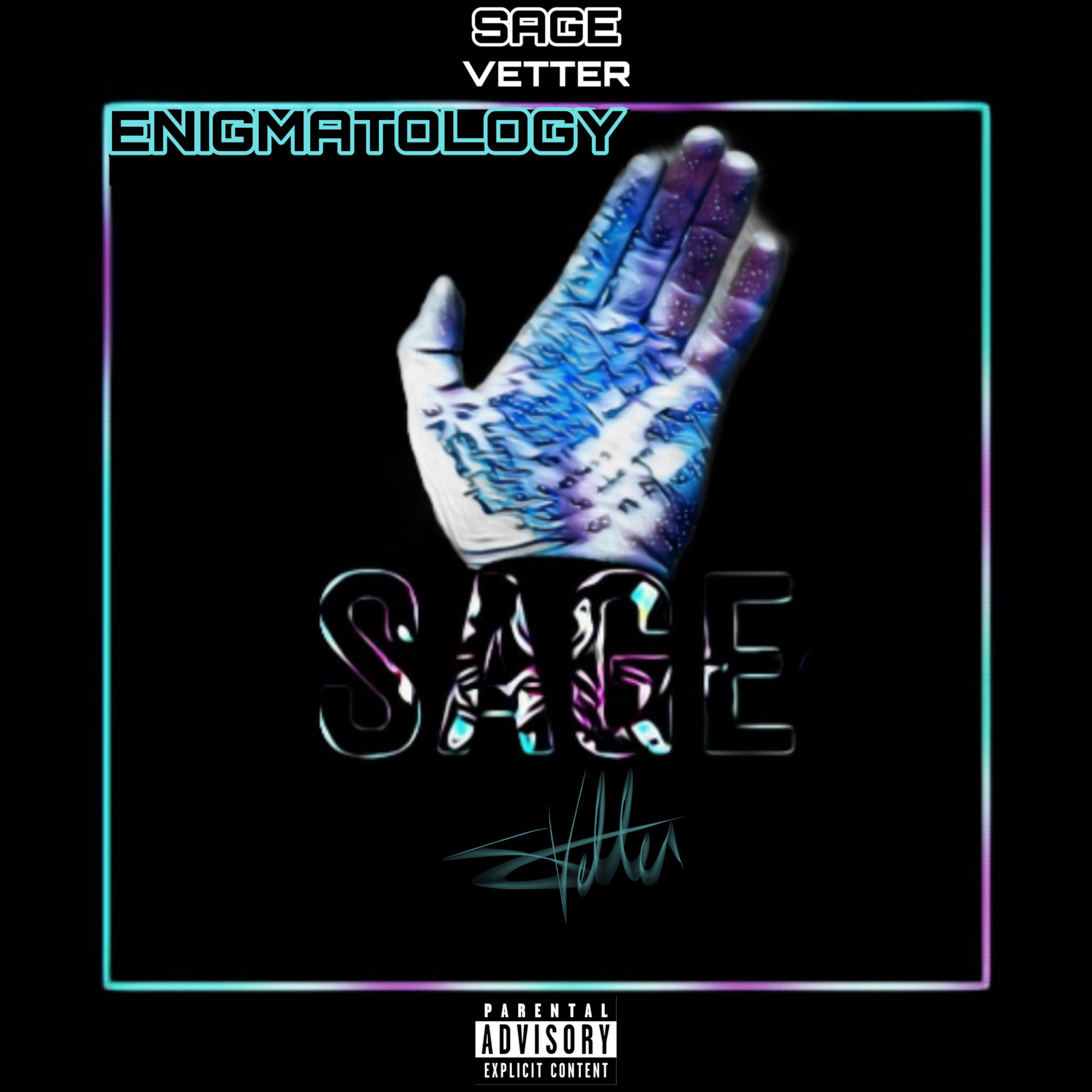 Enigmatology by Sage Vetter cover art
