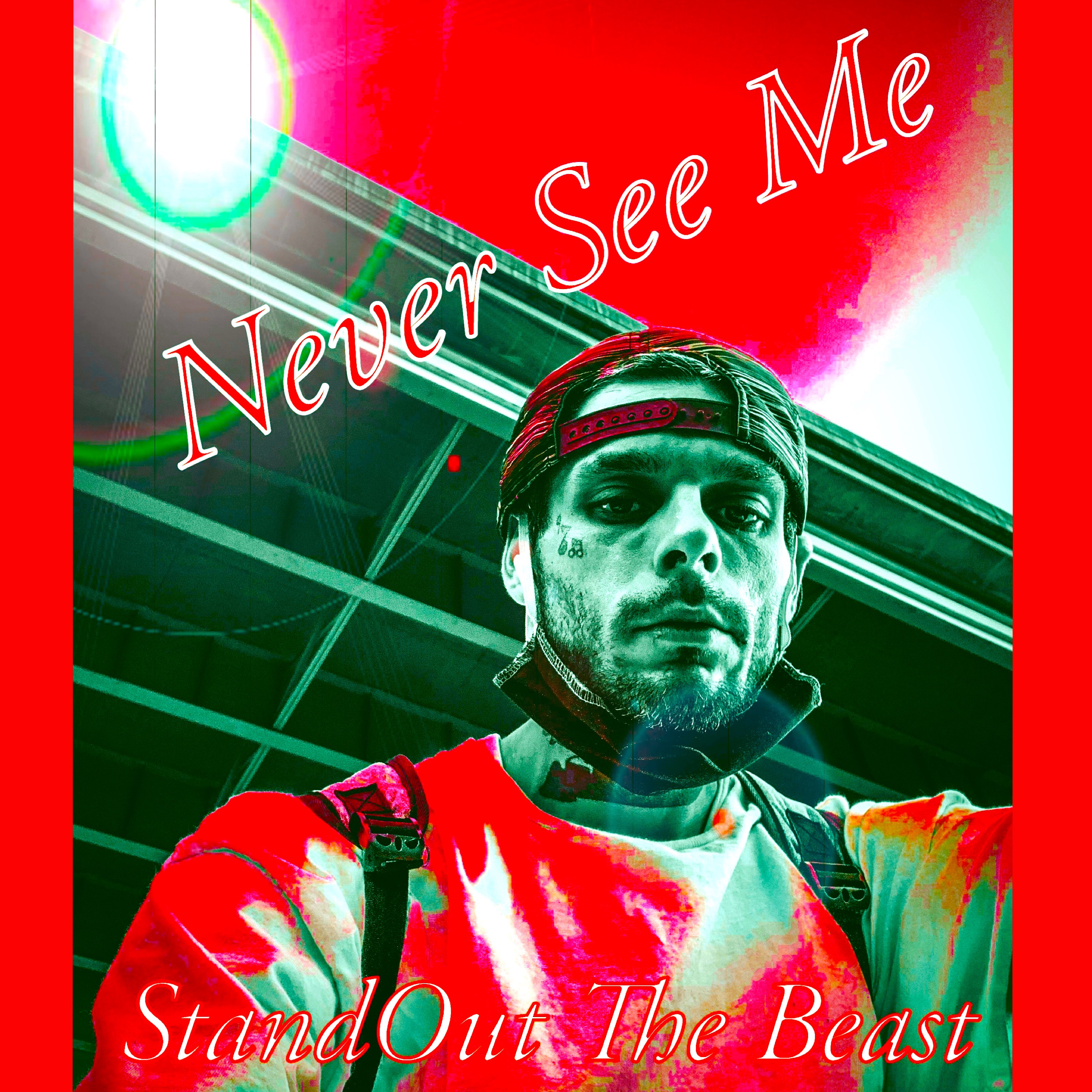 Never See Me artwork