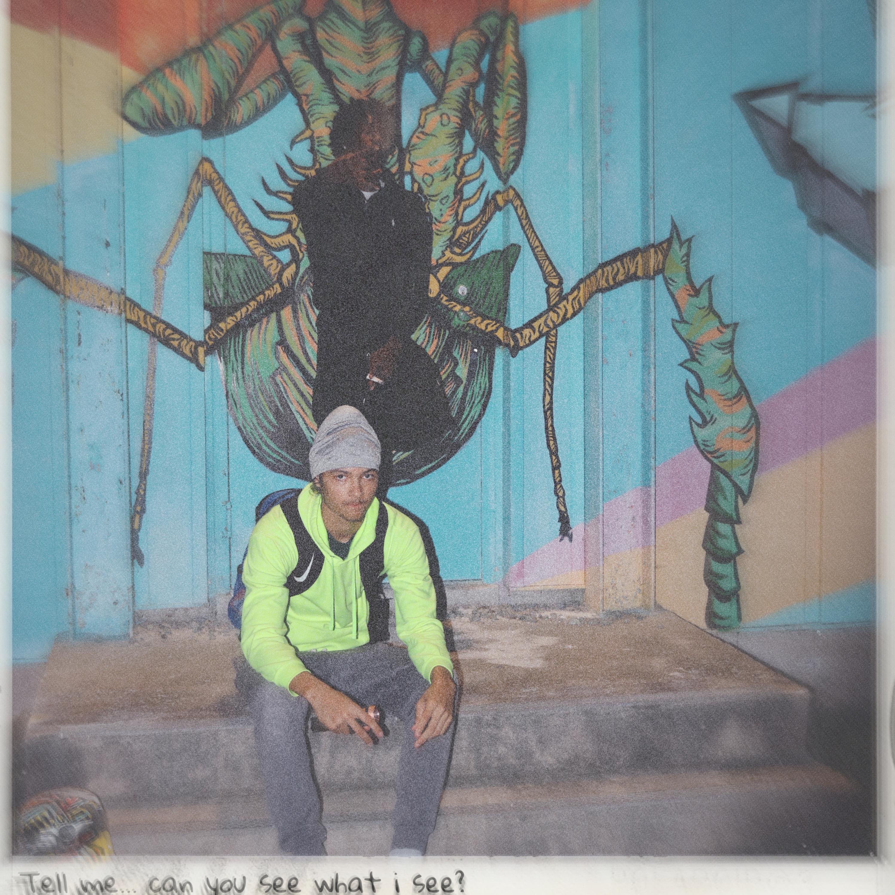 SeeWhatISee artwork