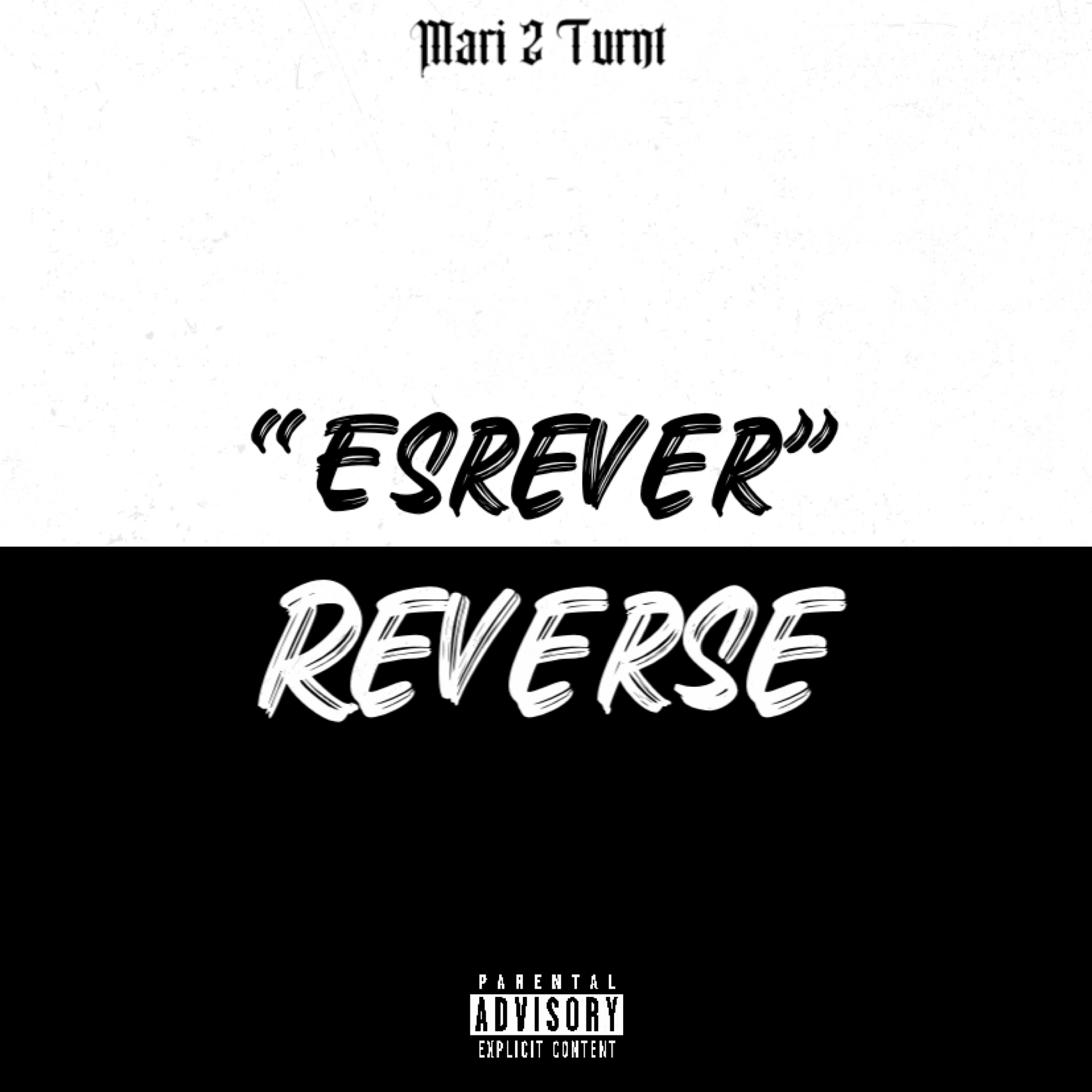 Esrever (Reverse) artwork