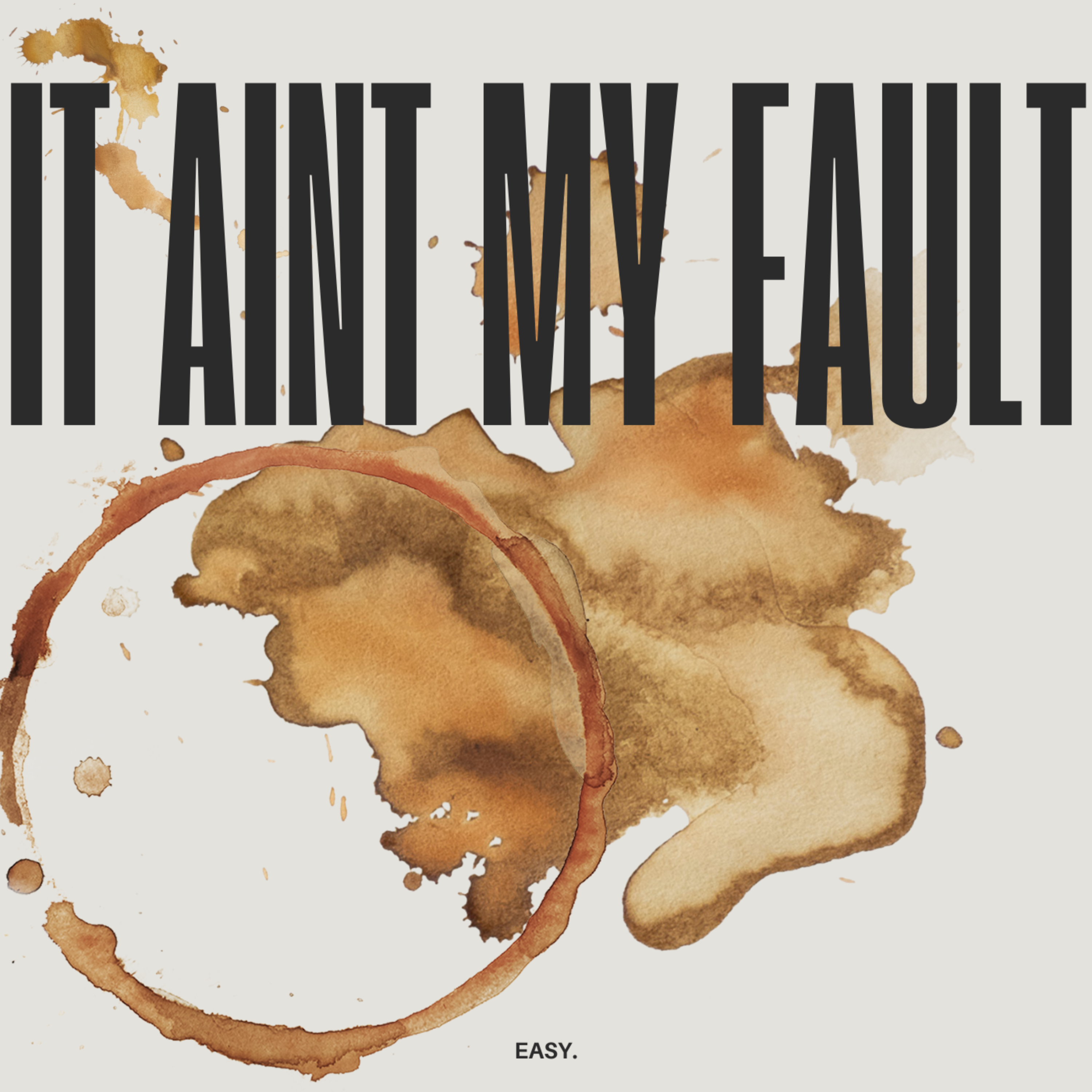 It Aint My Fault artwork