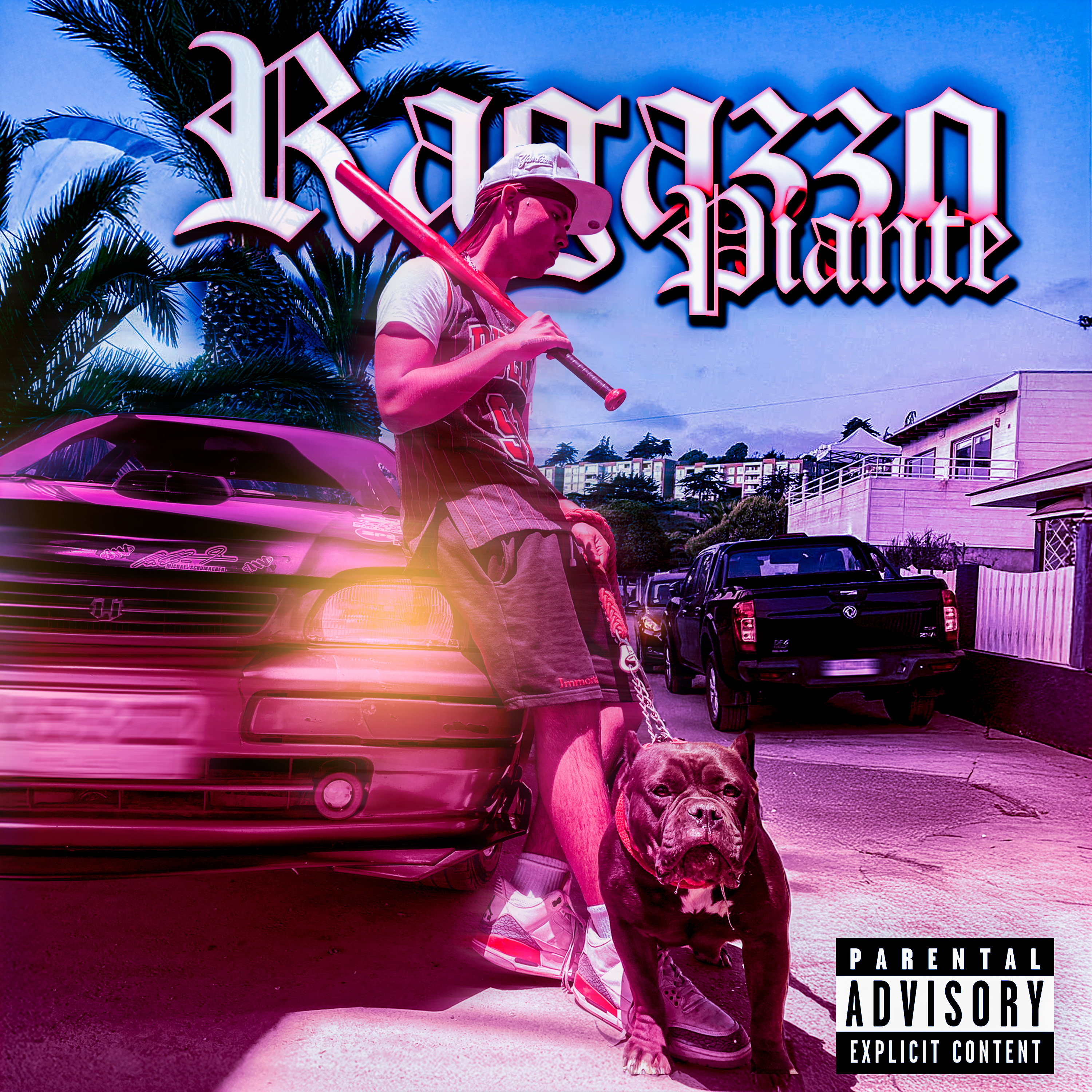 Ragazzo Piante artwork