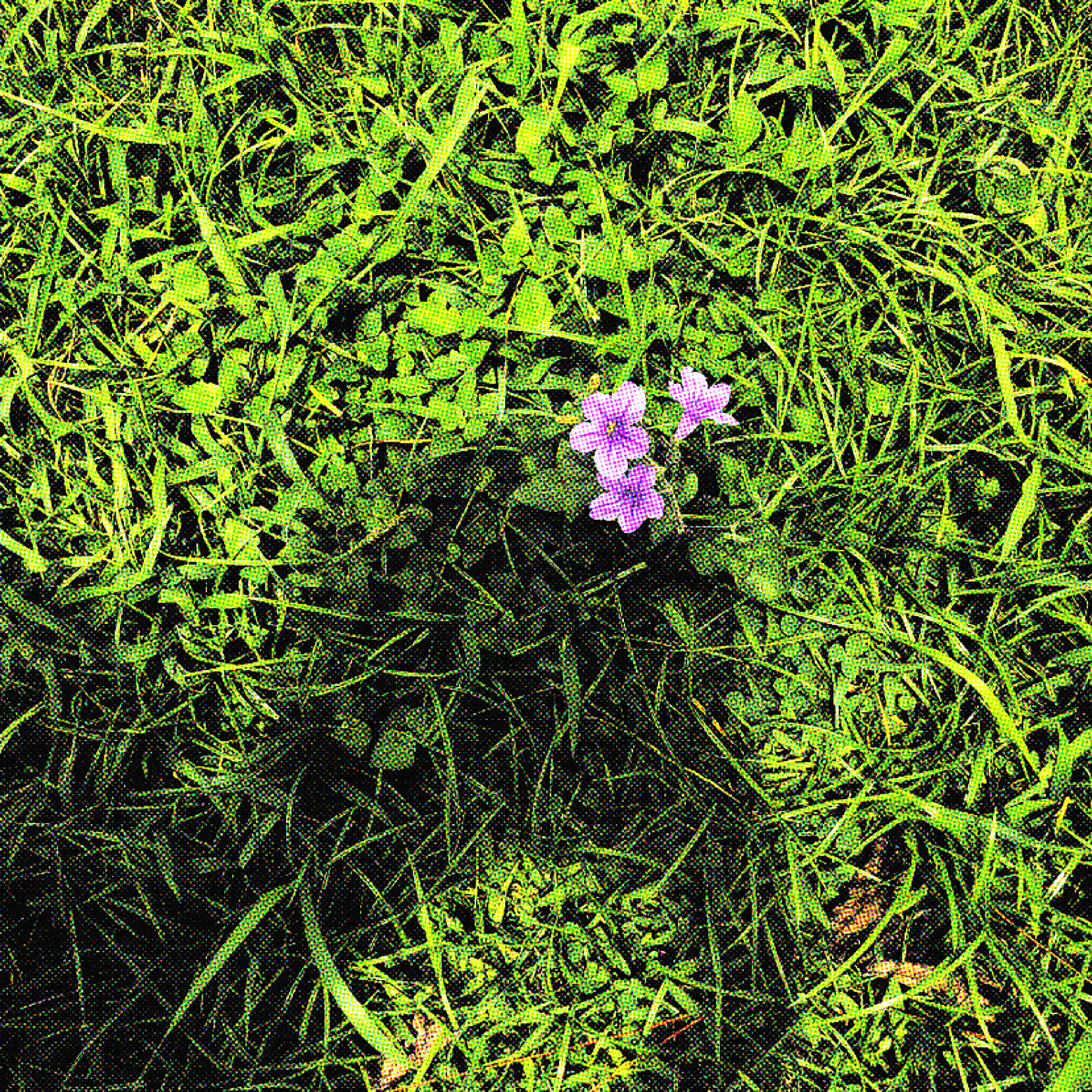 Feelings // Love On Me (Tonight) // Heavy Heart [Instrumental] artwork