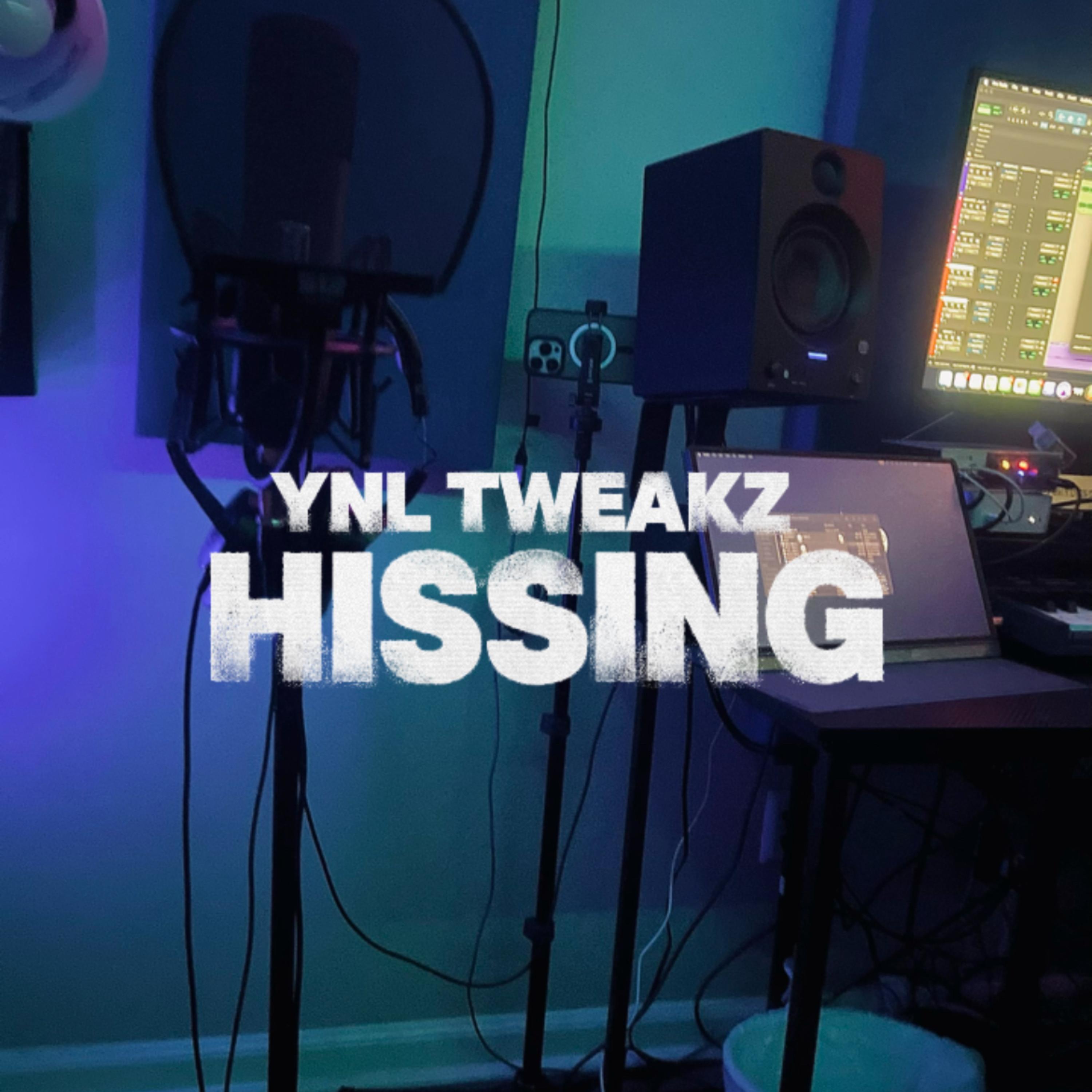 Hissing artwork
