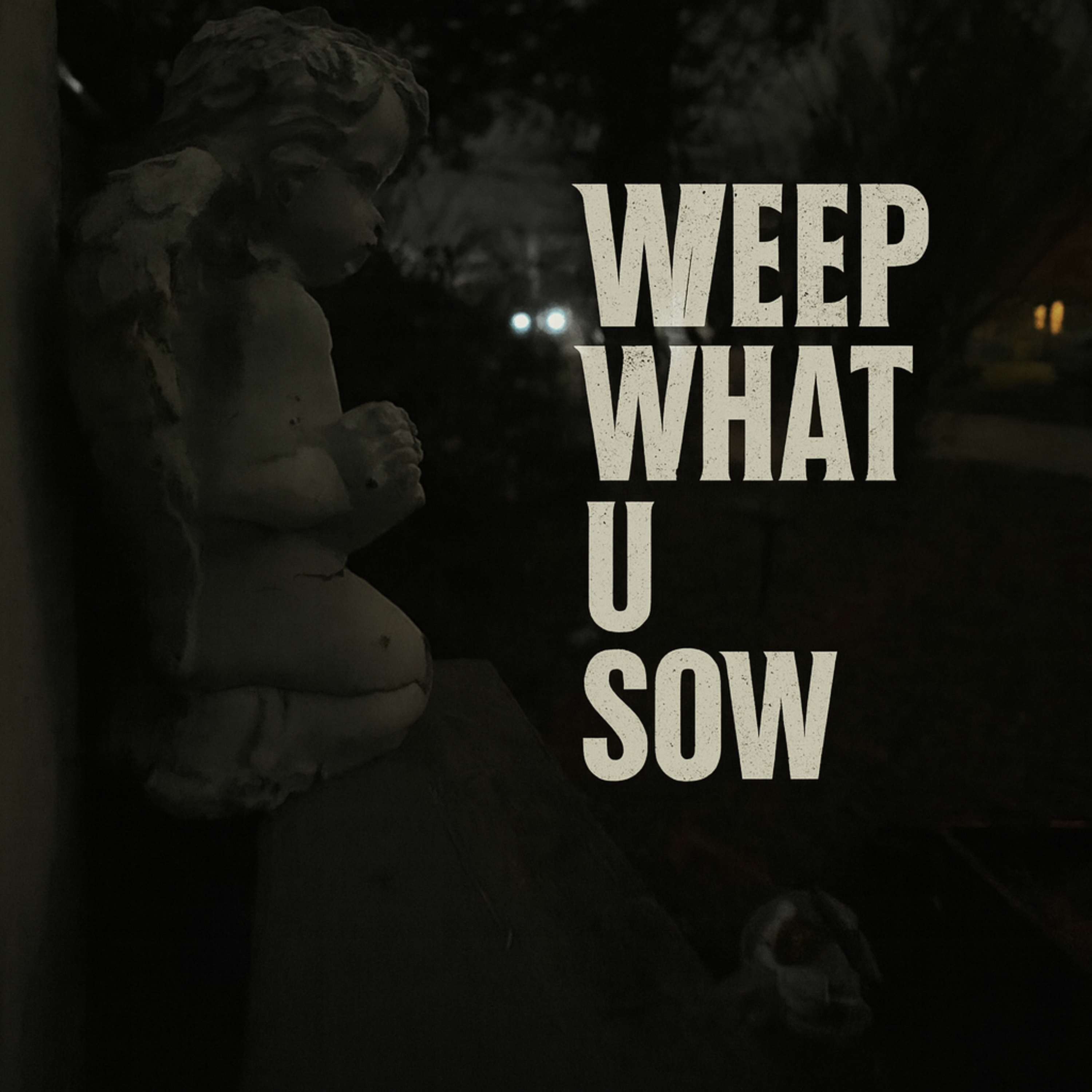 WEEP WHAT U SOW artwork