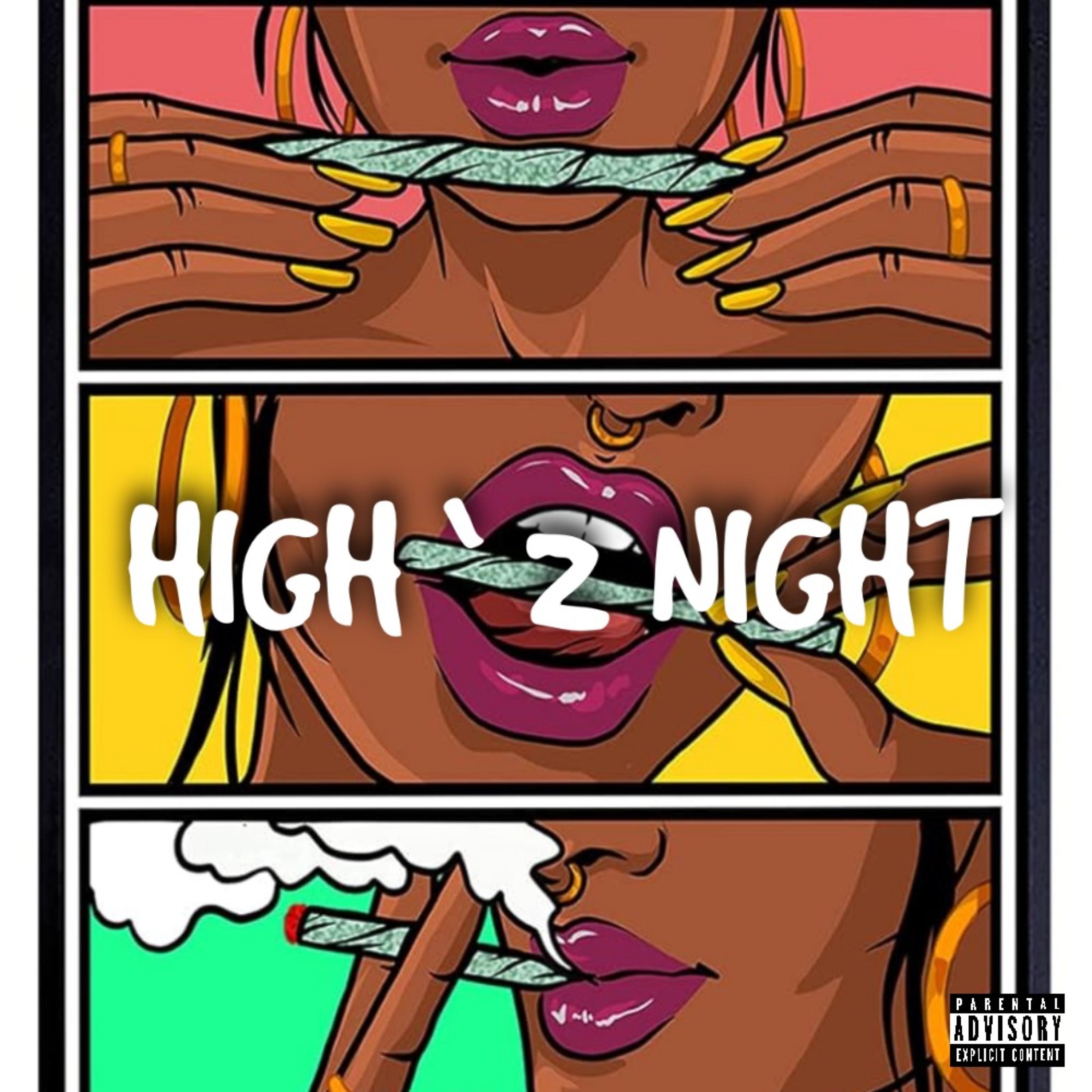 High 2 Night artwork