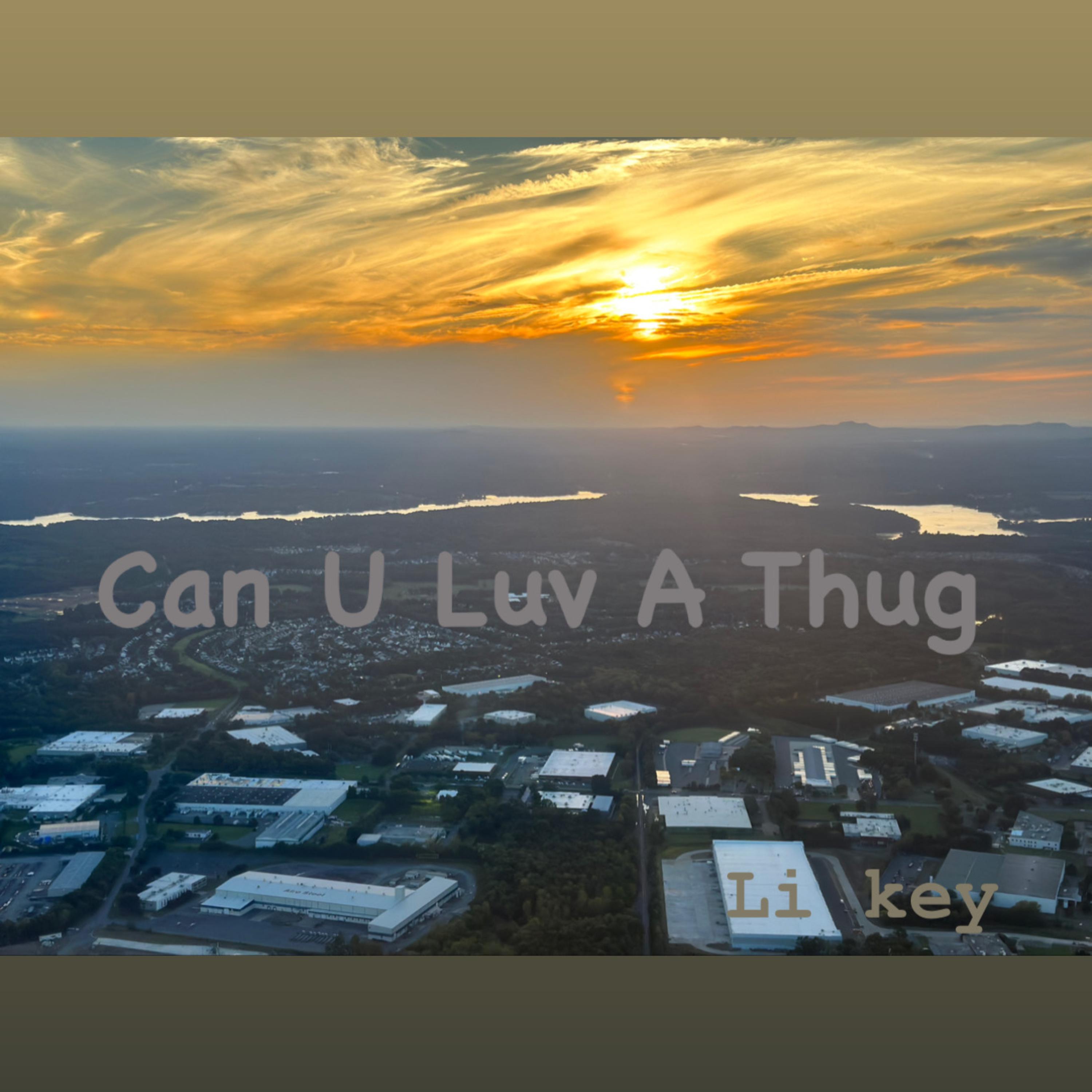 Can U Luv A Thug artwork