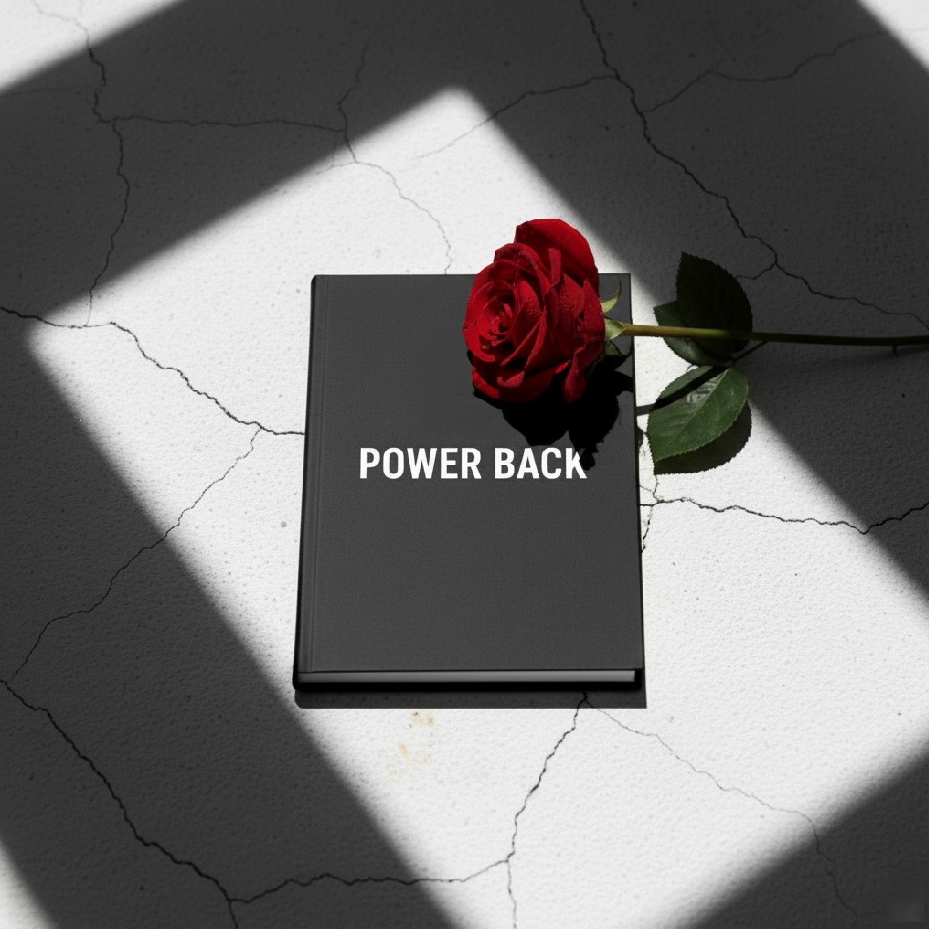POWER BACK artwork