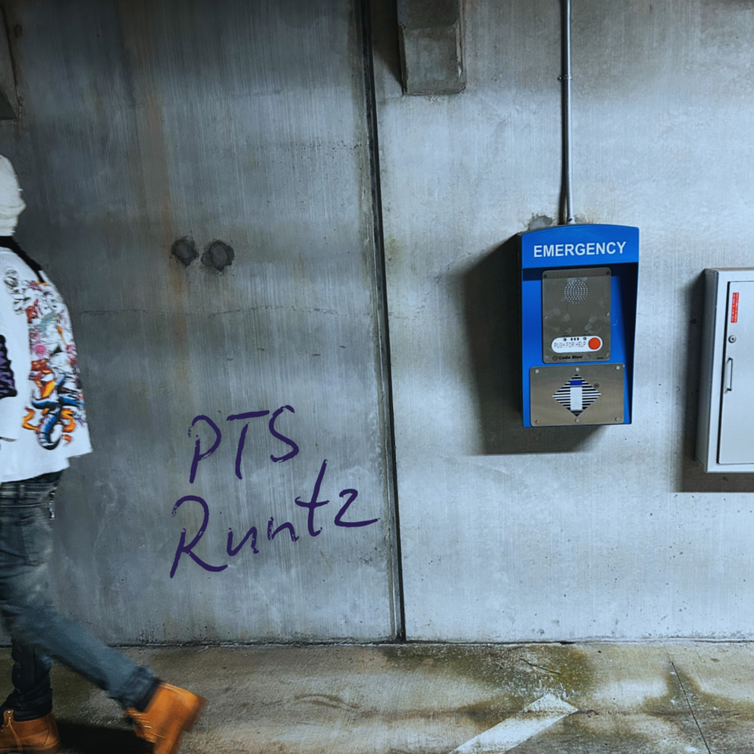 PTS artwork