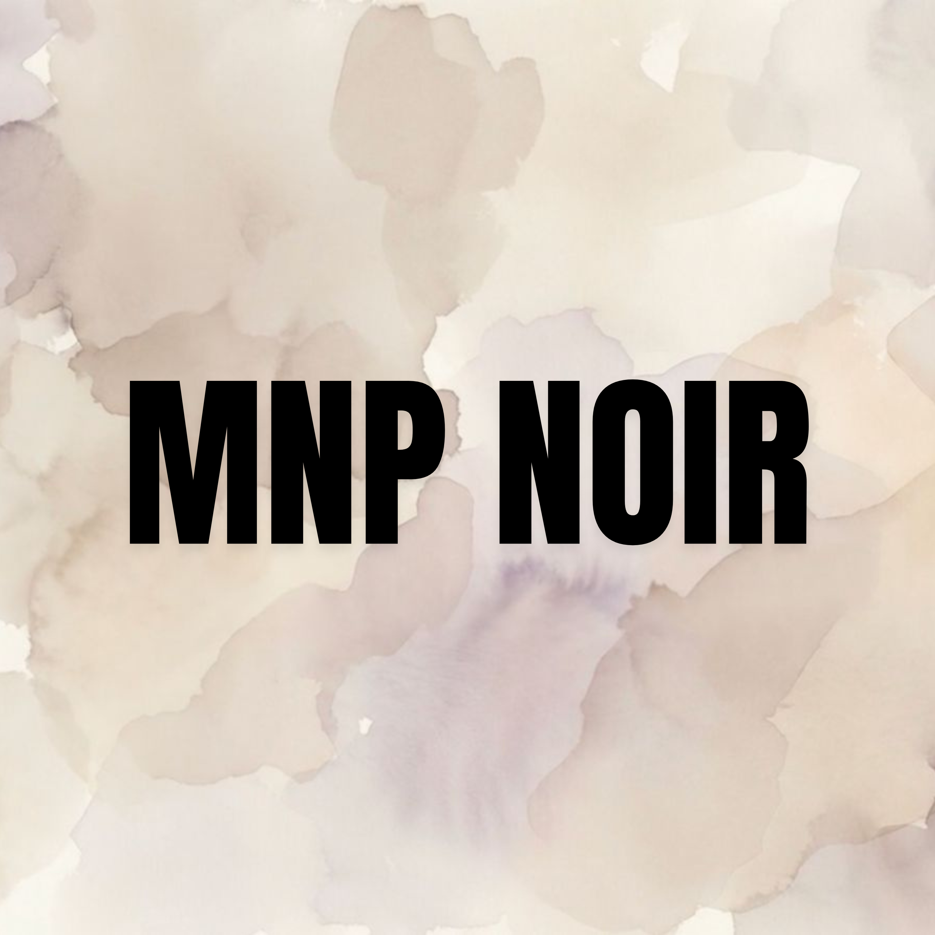 MnpNoir