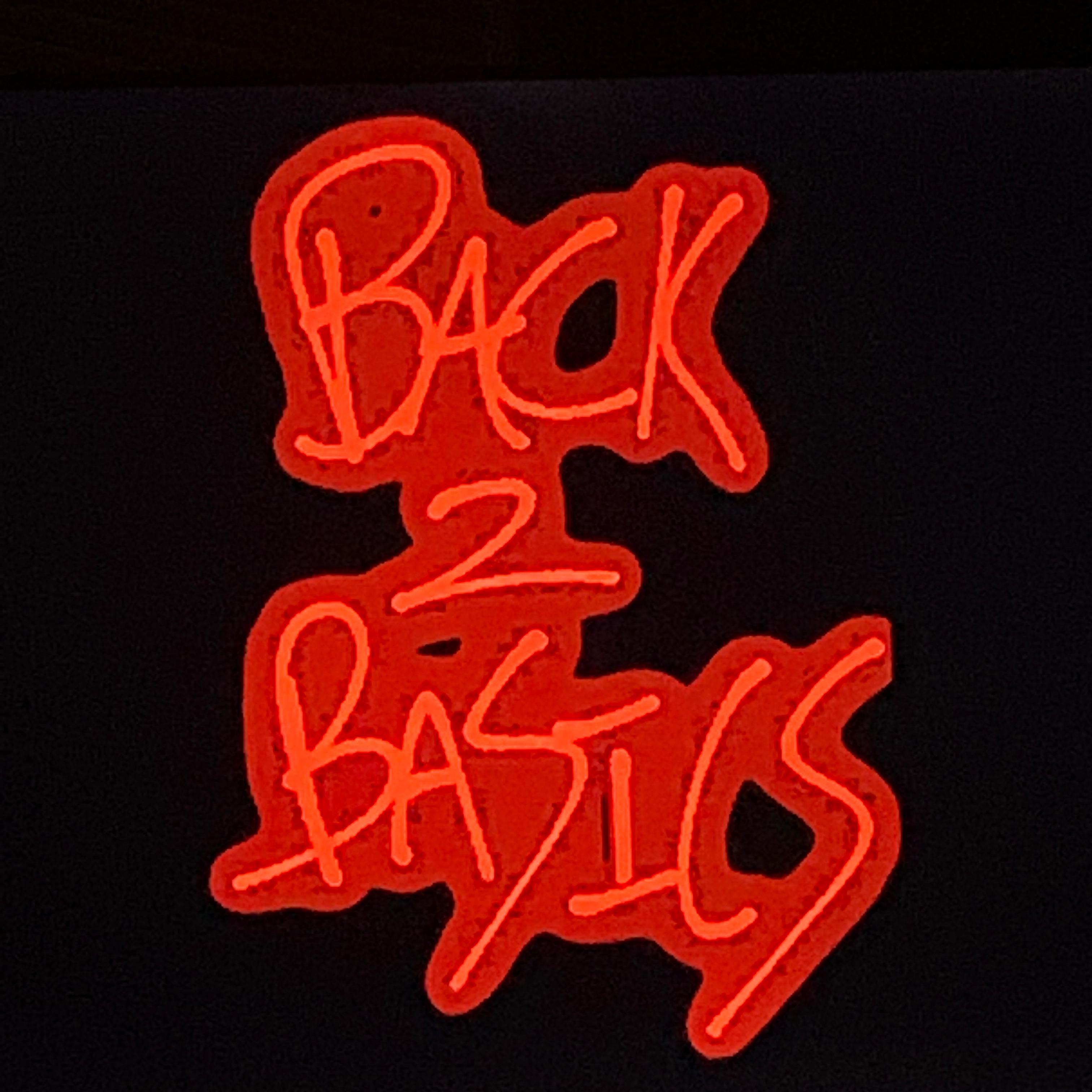 BACK2BASICS artwork