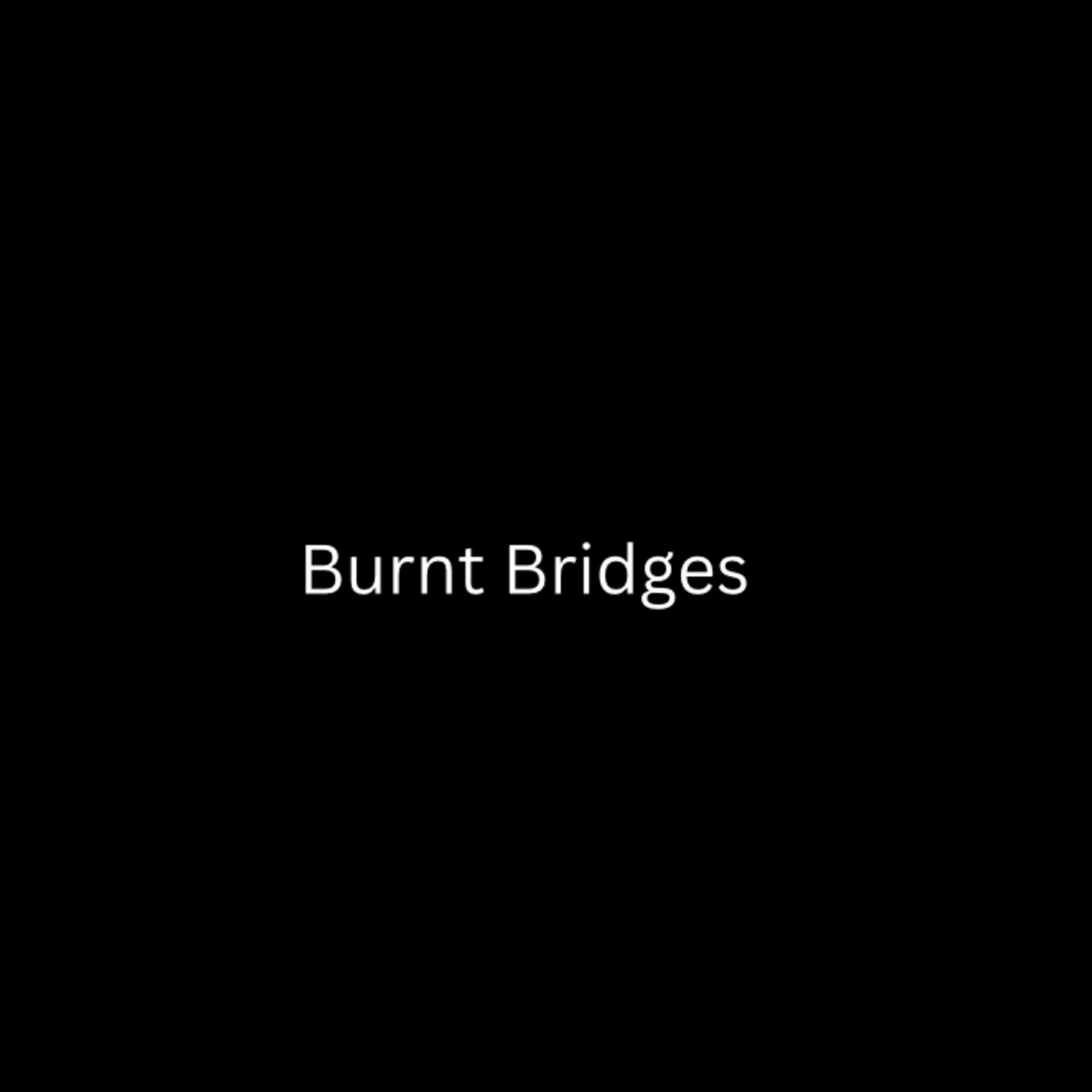 Burnt Bridges artwork