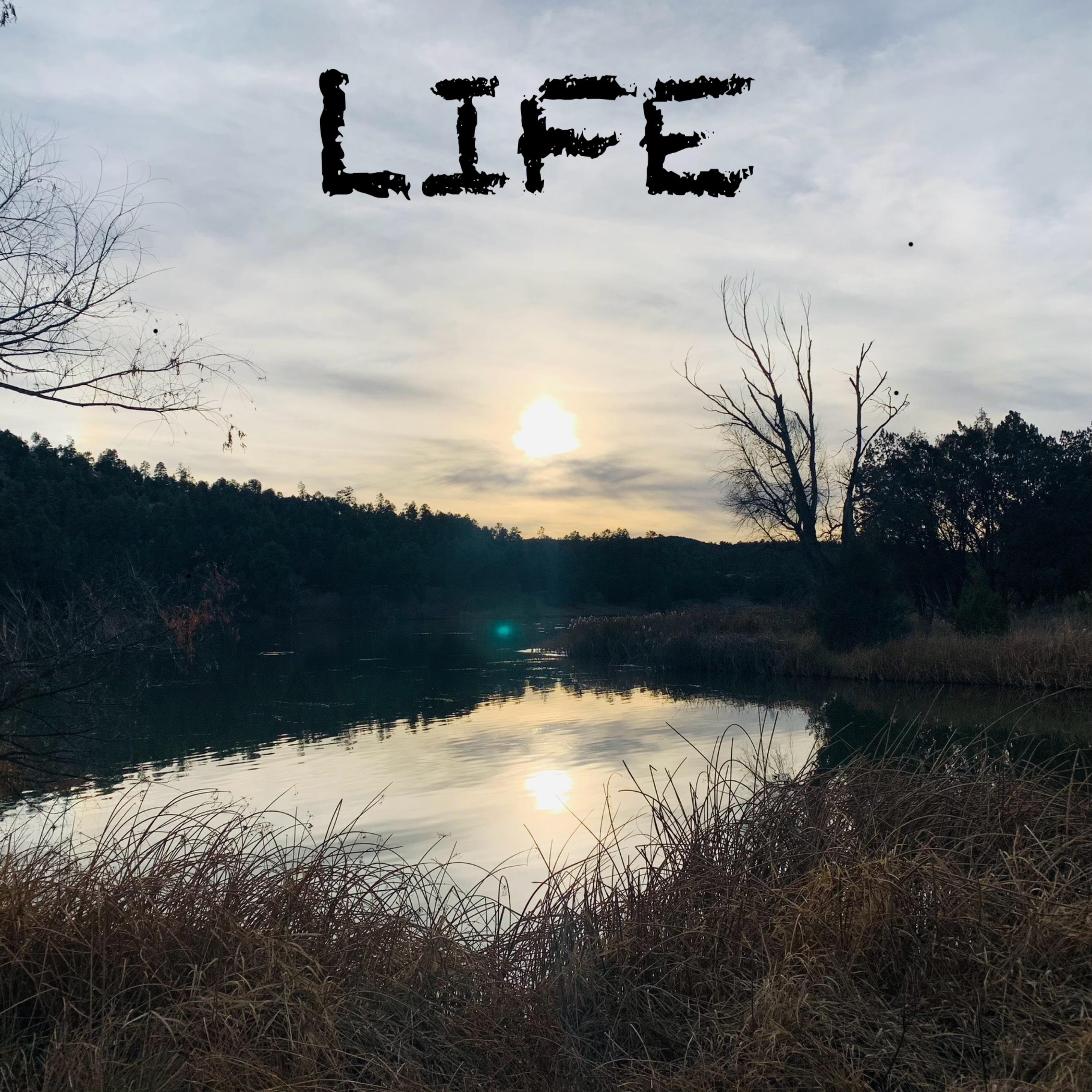 Life artwork