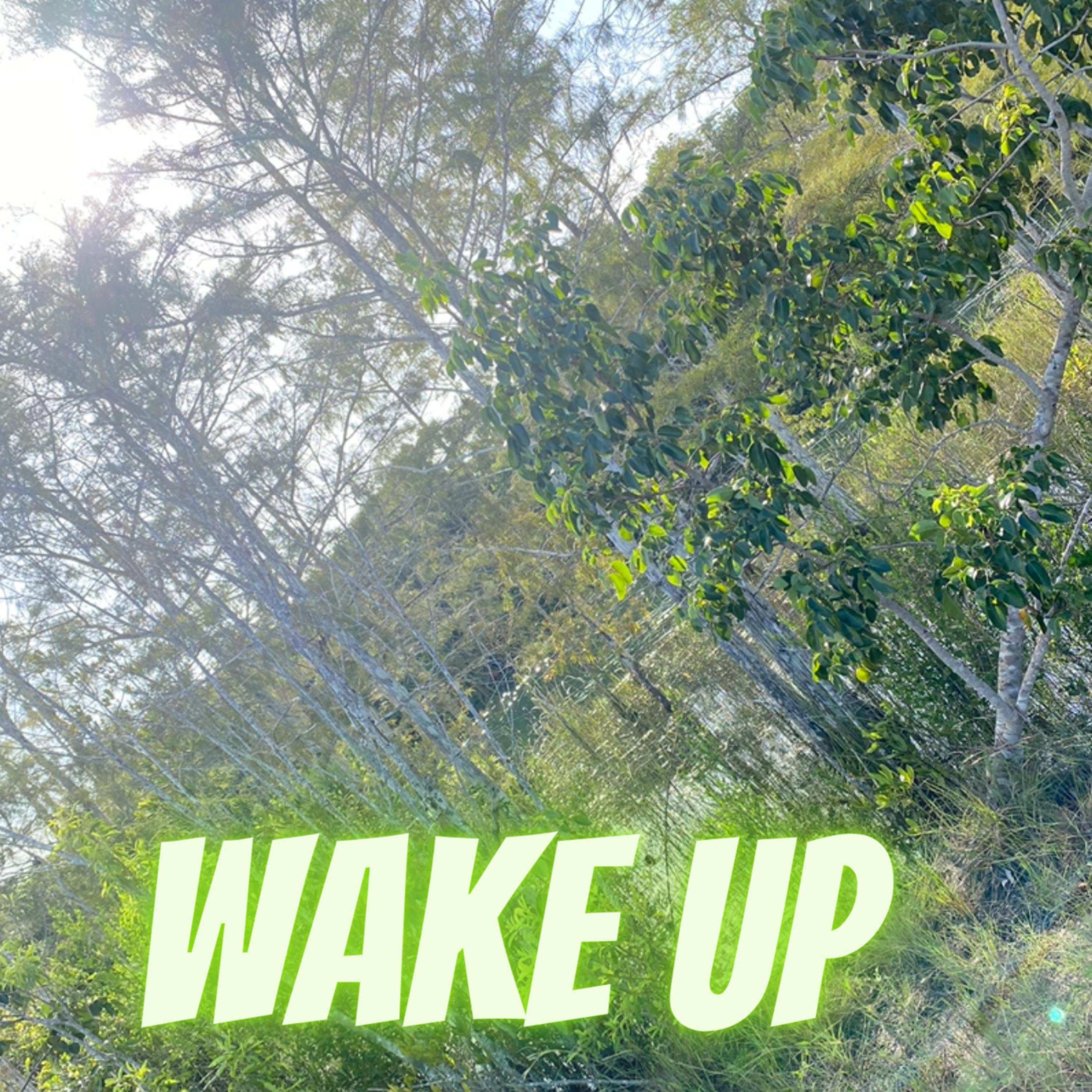 Wake Up artwork