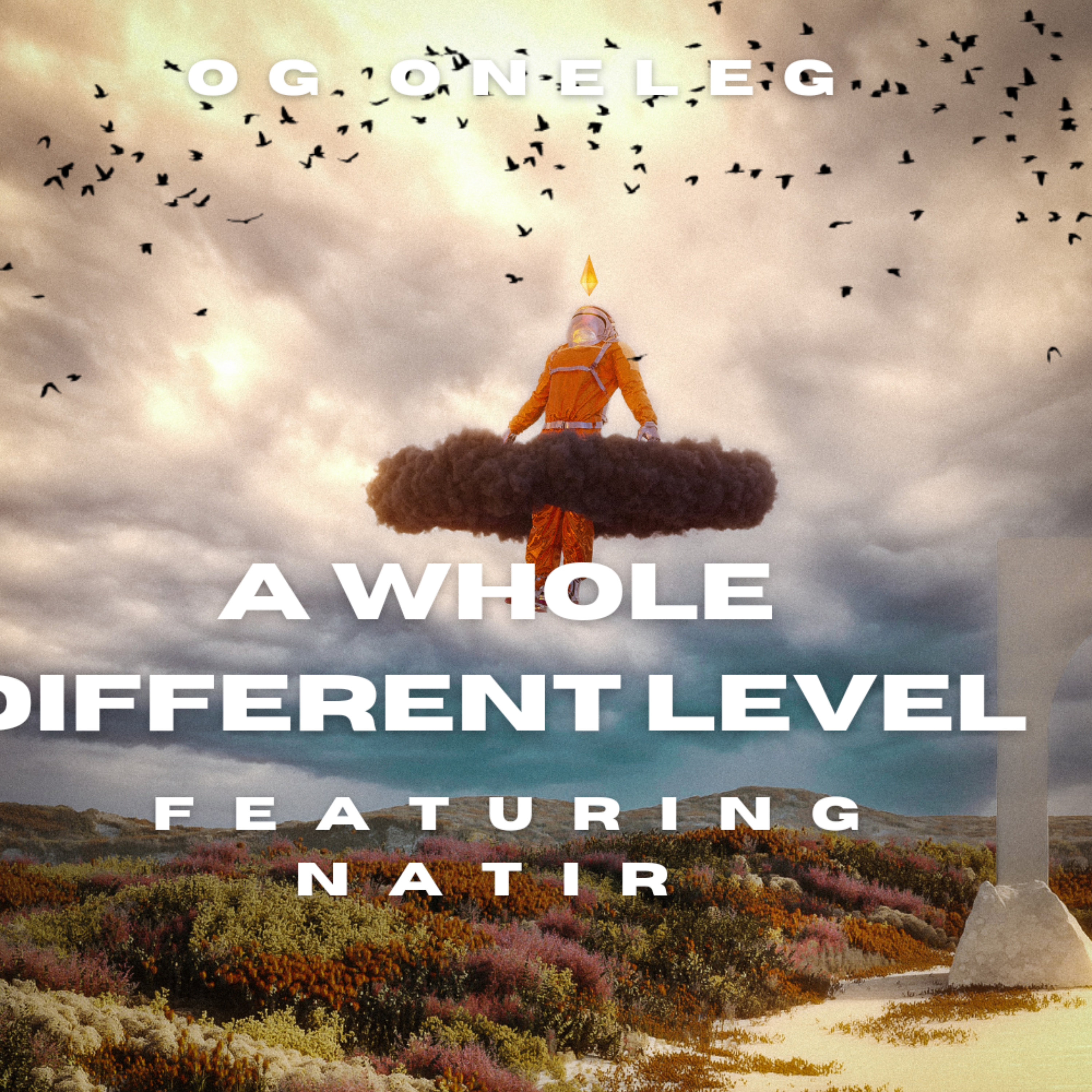 A Whole Different Level artwork