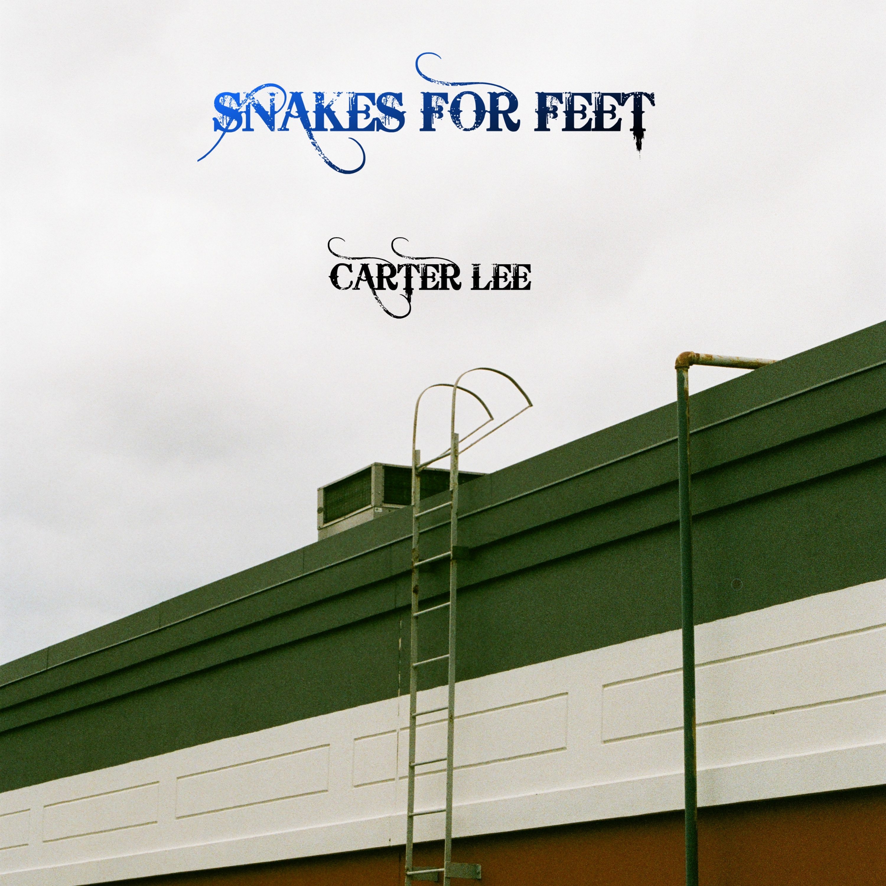 SNAKES FOR FEET artwork