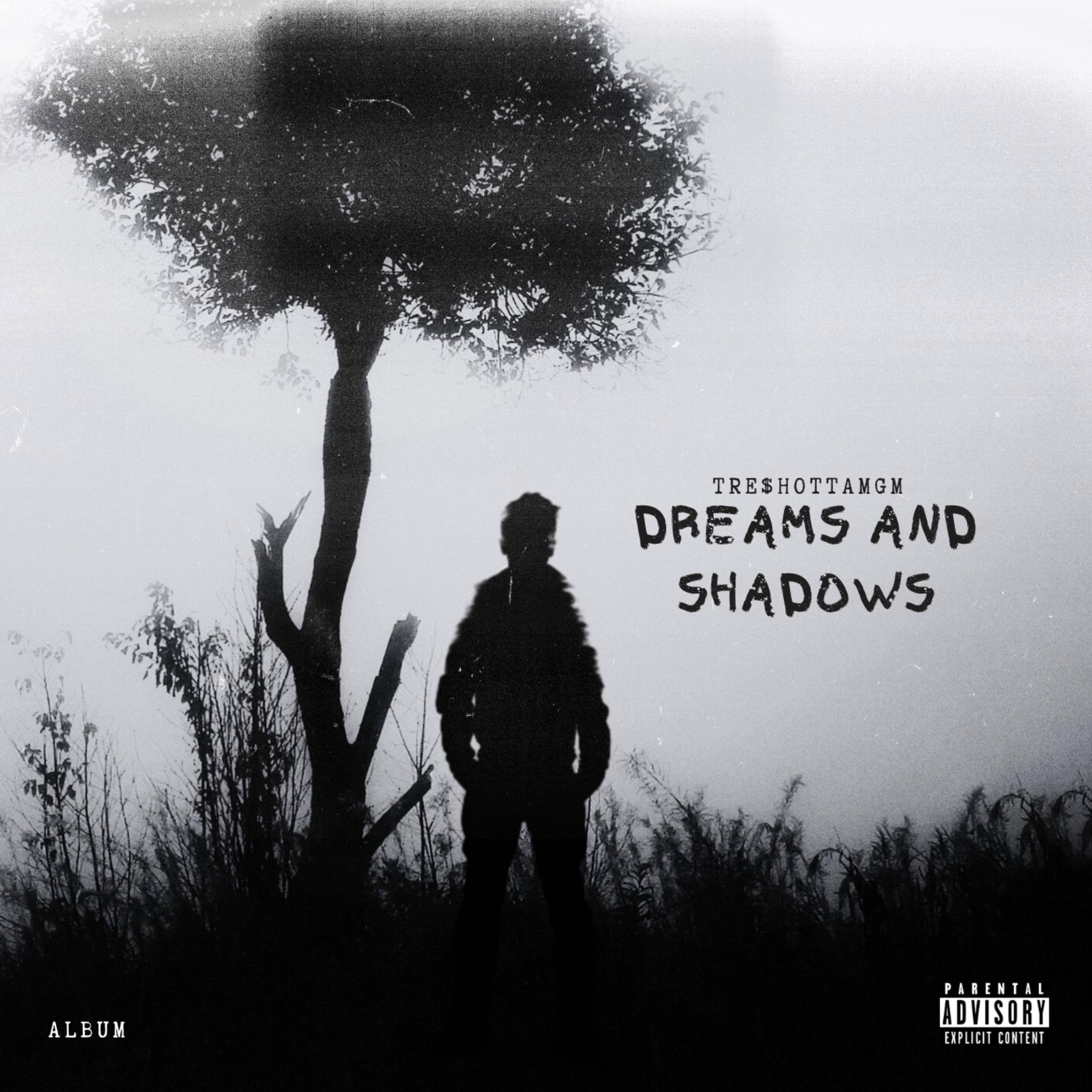 Dreams And Shadows artwork