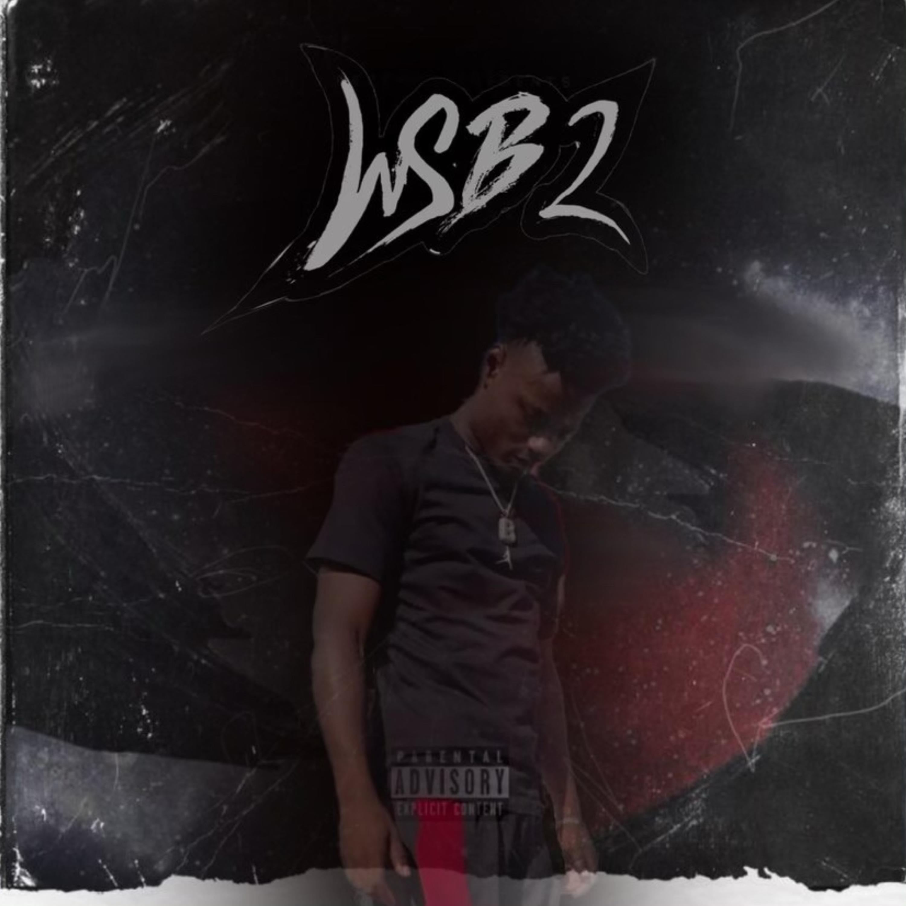 WSB2 by Luh Brae cover art